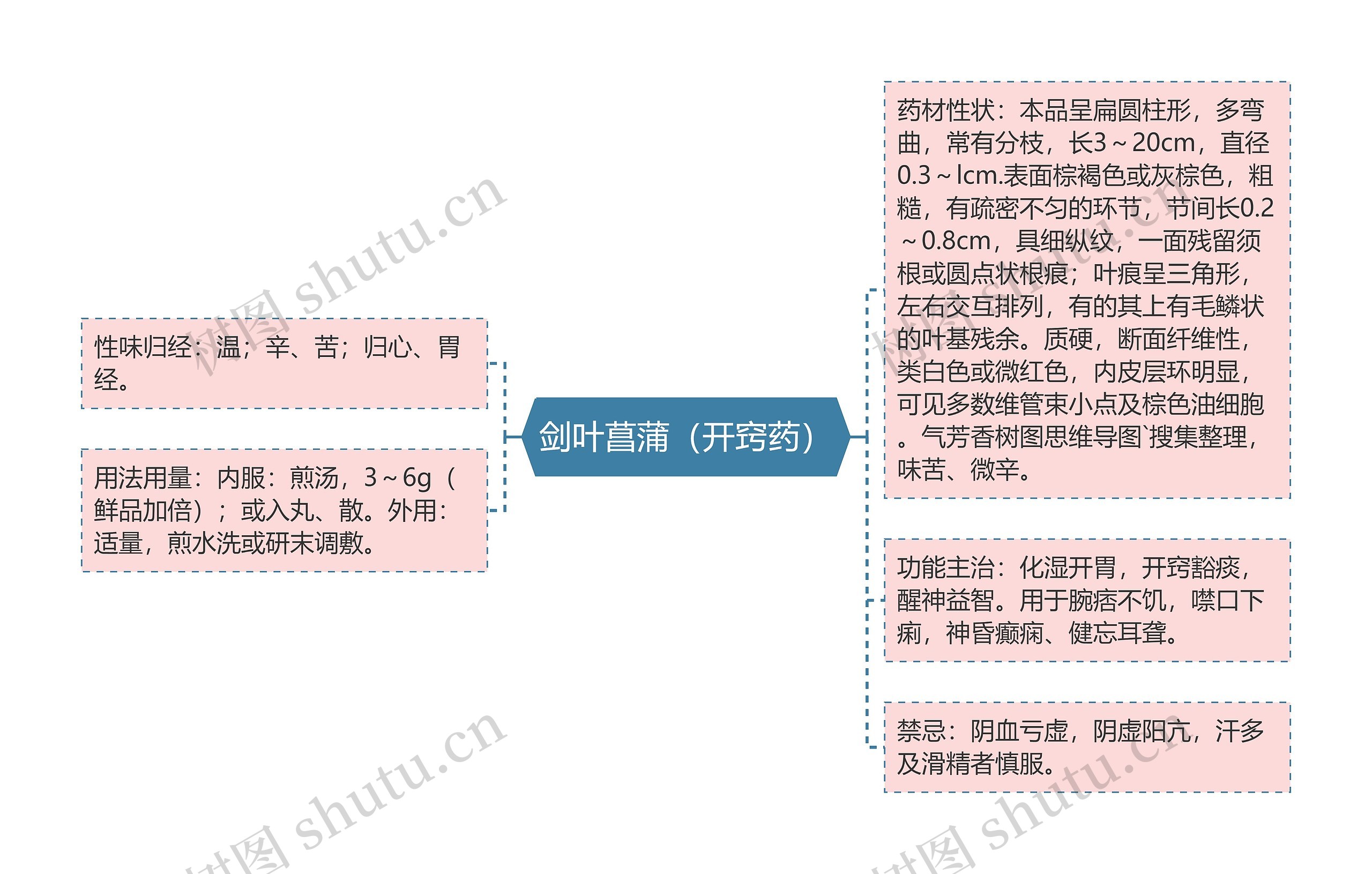 剑叶菖蒲（开窍药）思维导图