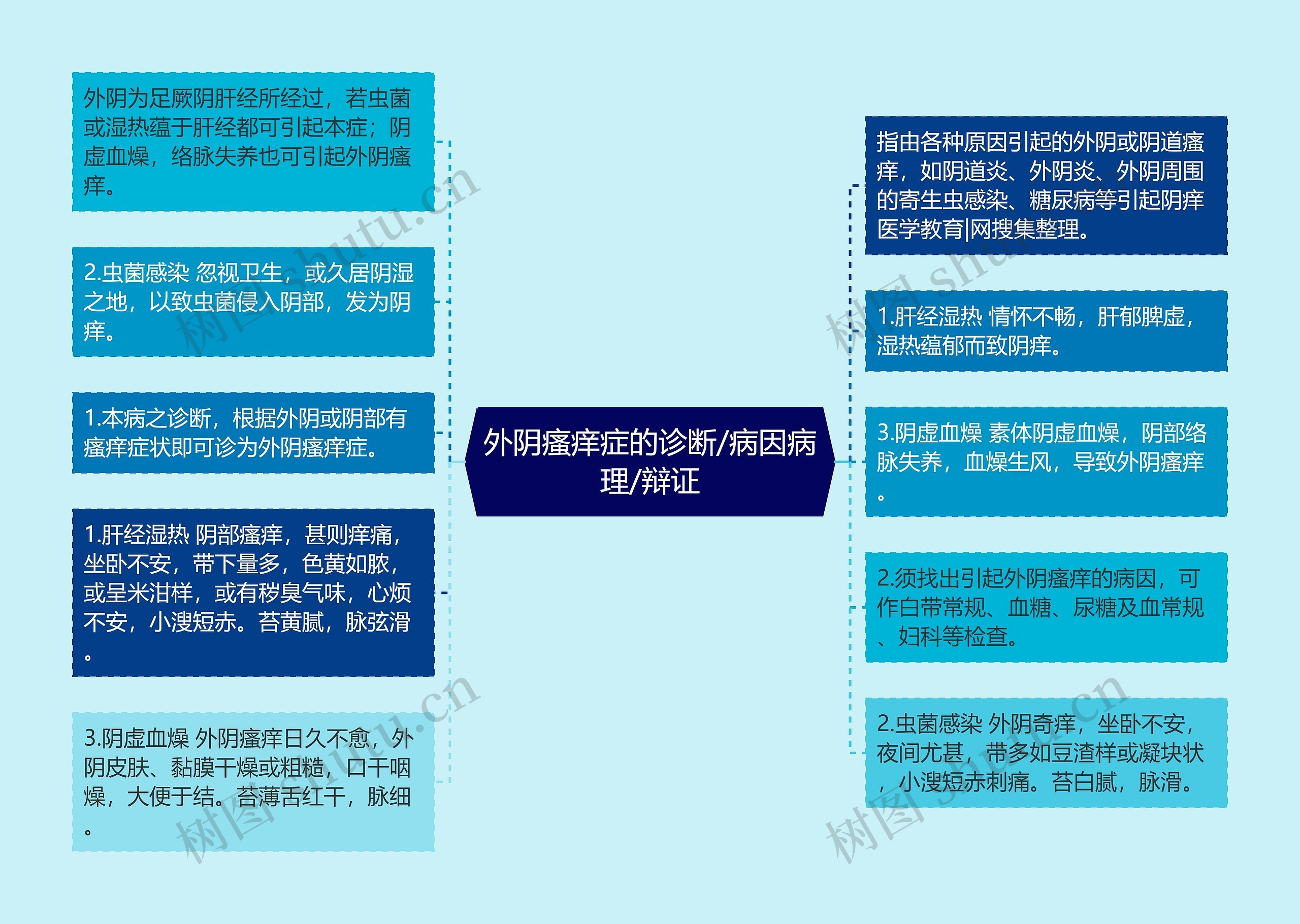 外阴瘙痒症的诊断/病因病理/辩证思维导图