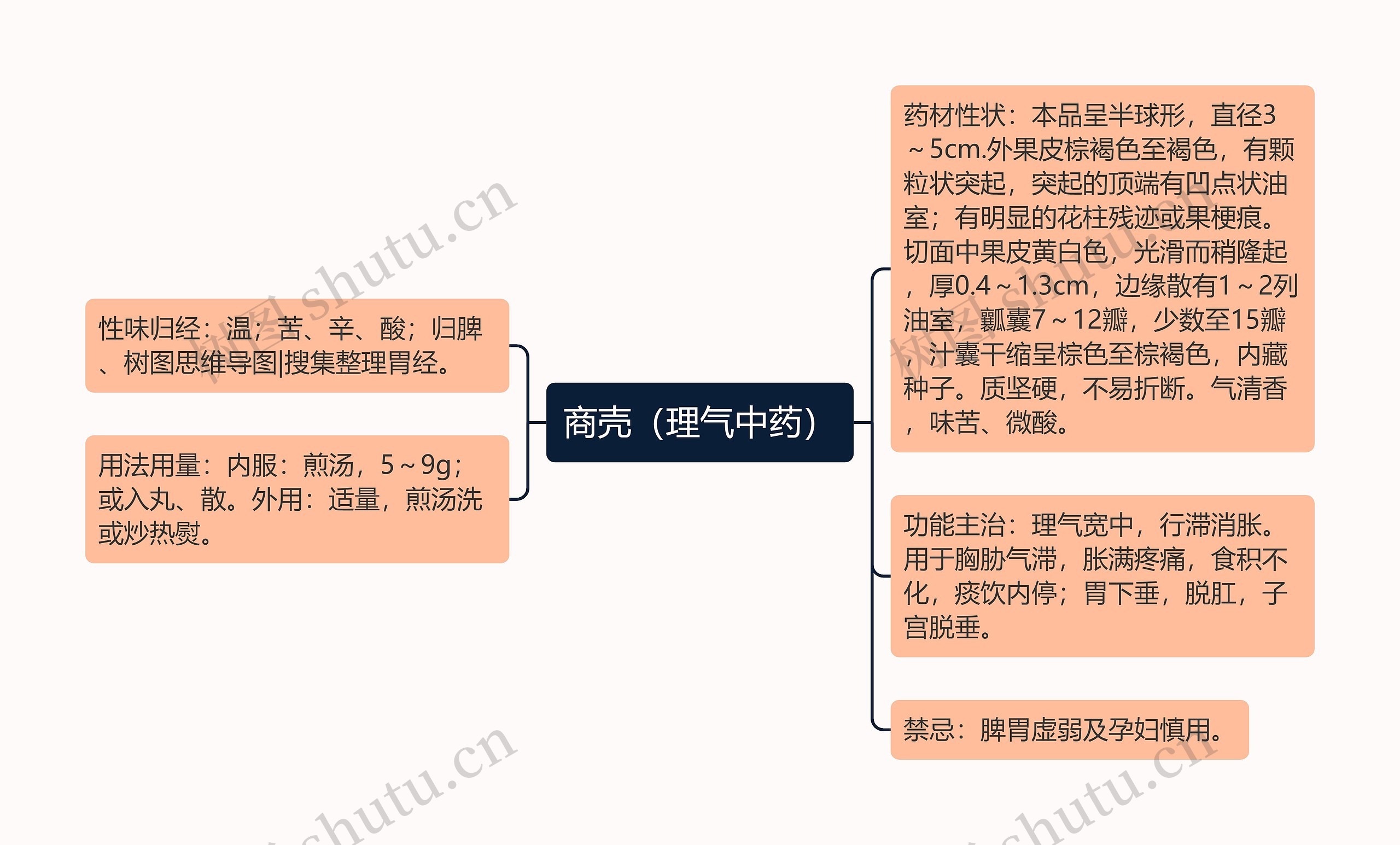 商壳（理气中药）思维导图