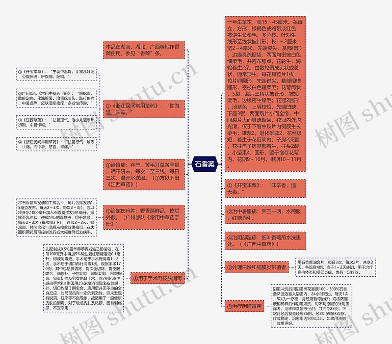 石香葇思维导图_编号p7005539-TreeMind树图