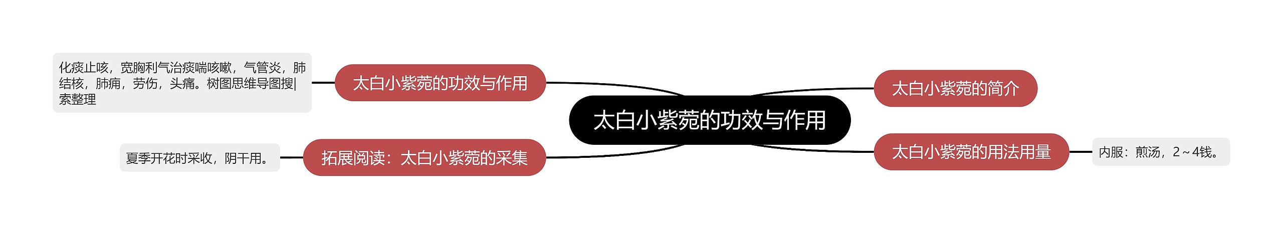太白小紫菀的功效与作用