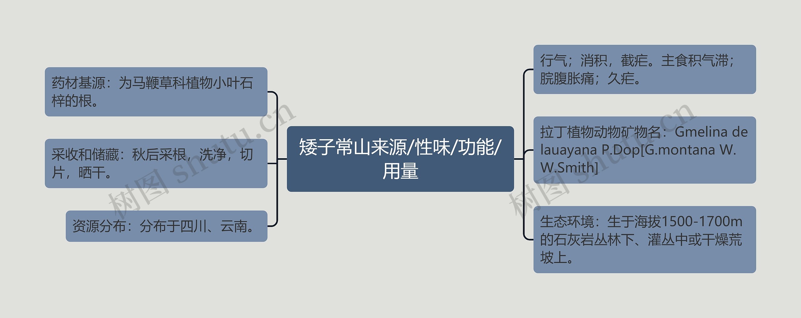 矮子常山来源/性味/功能/用量