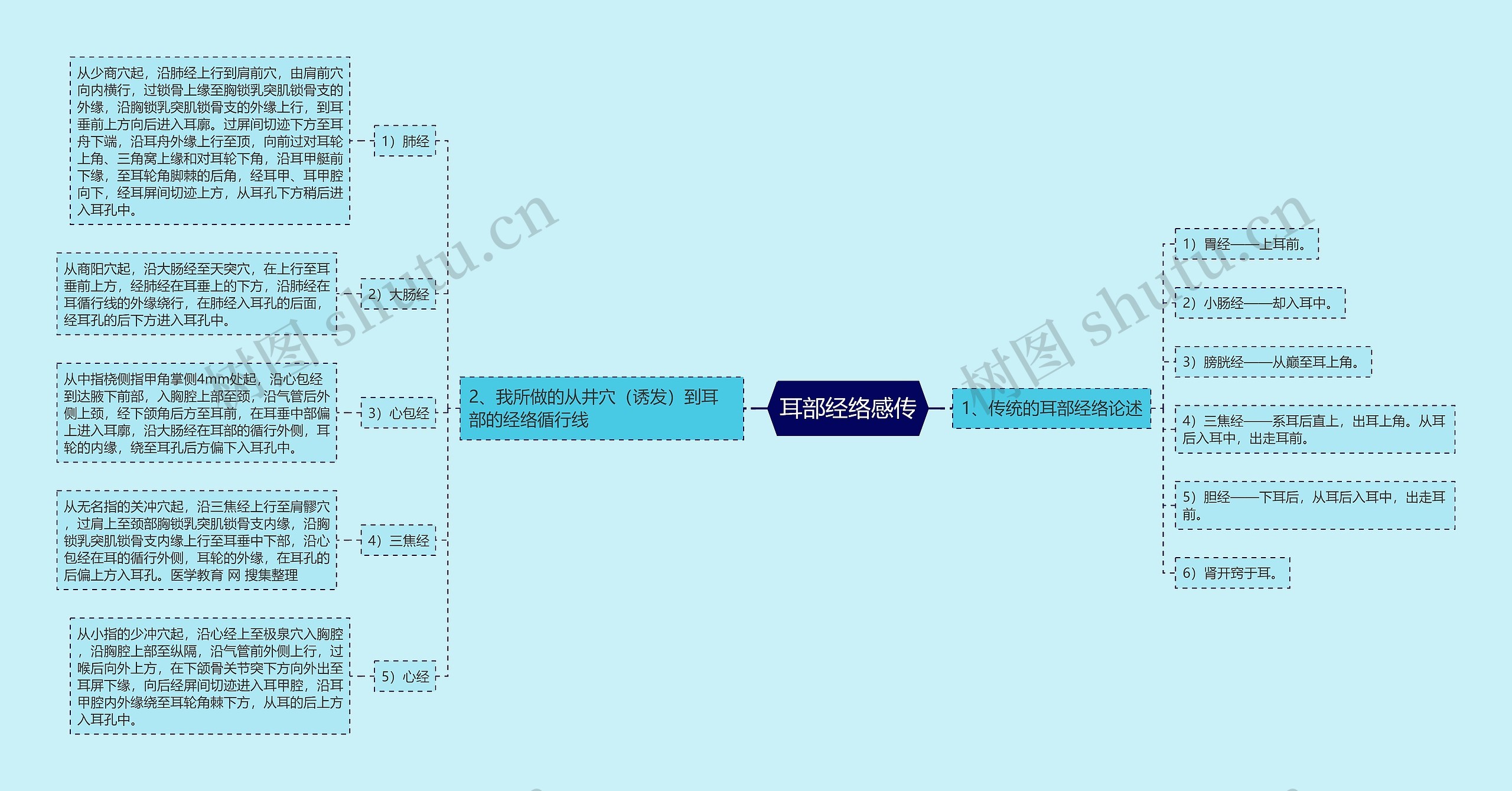 耳部经络感传思维导图