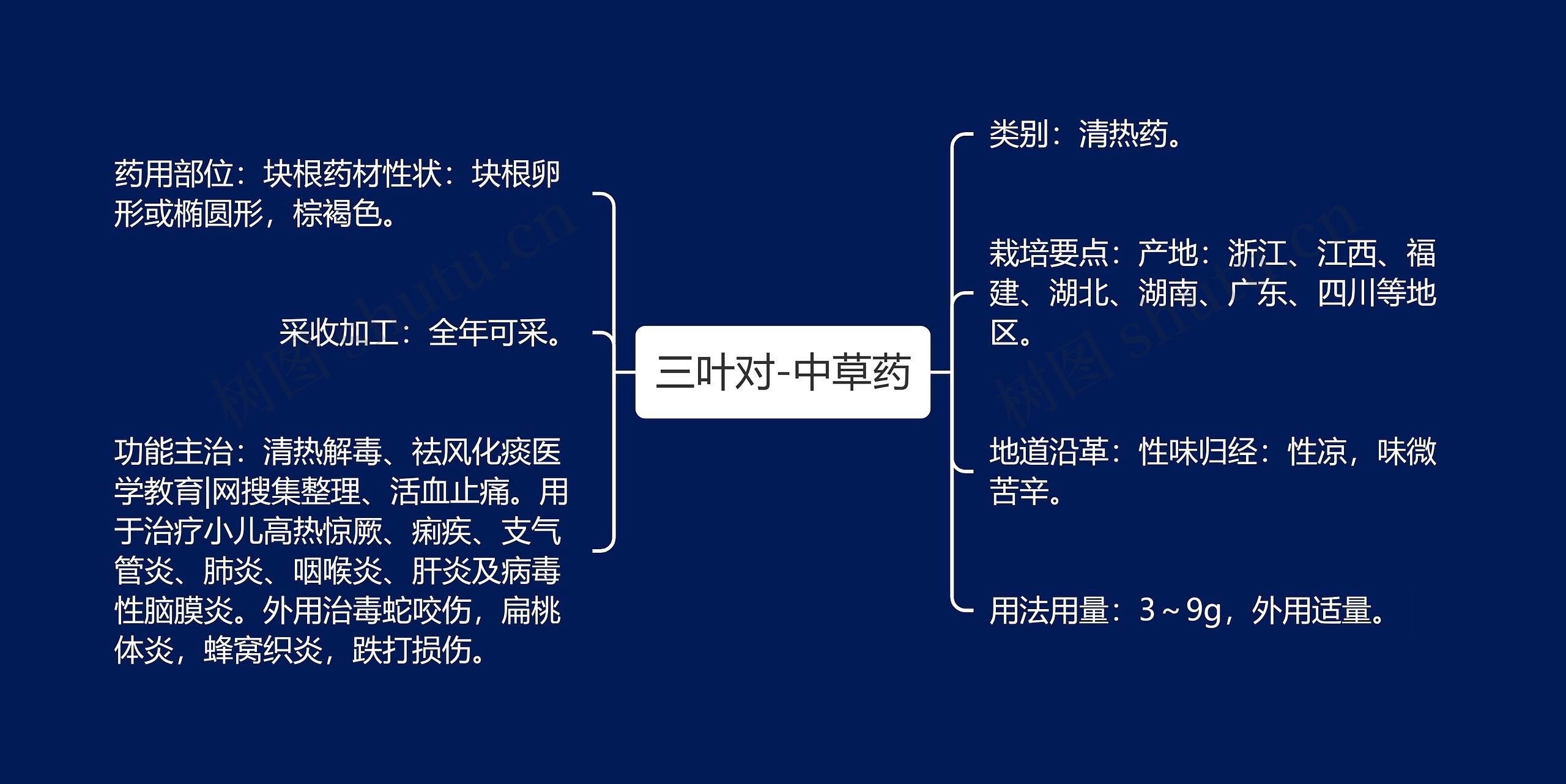 三叶对-中草药