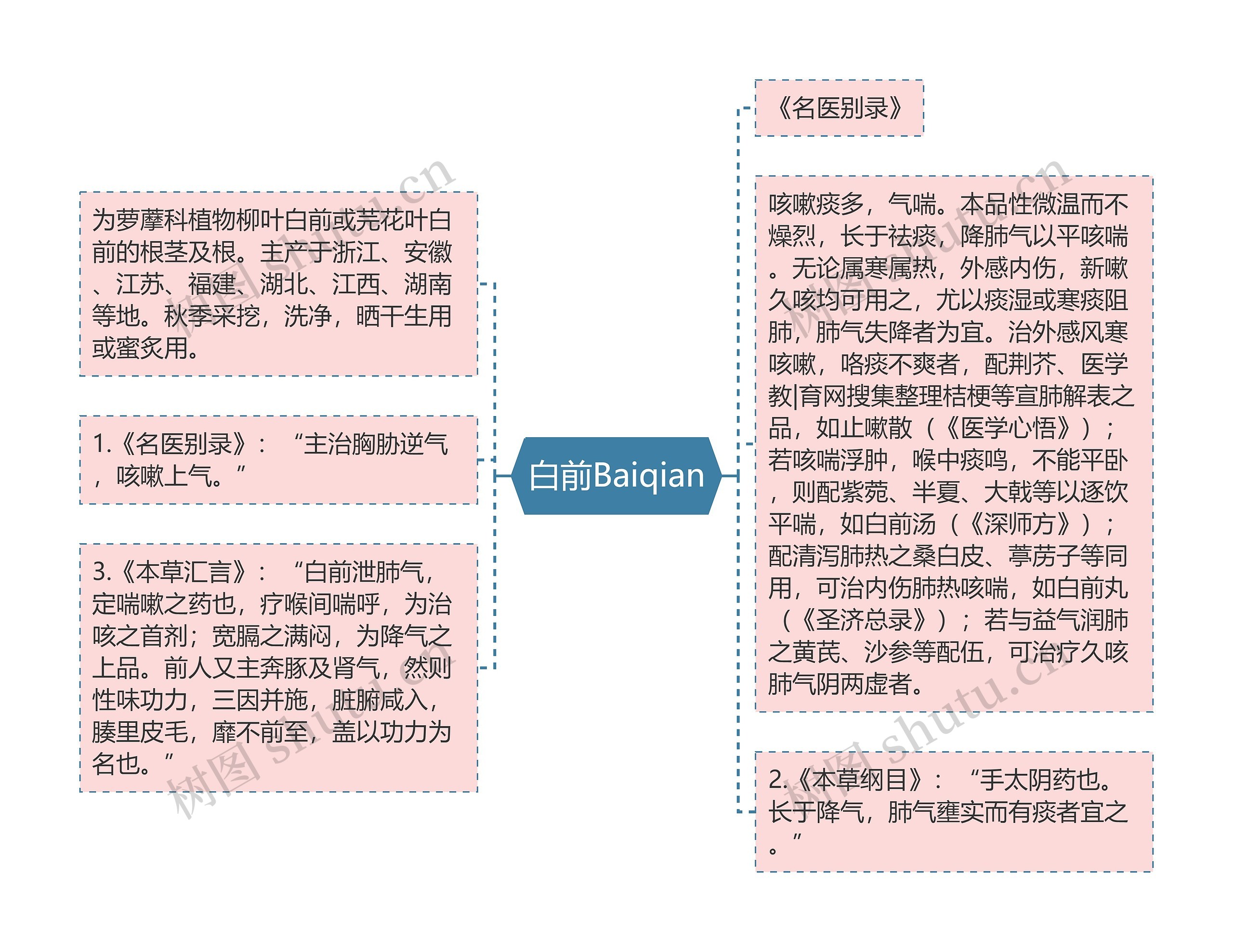 白前Baiqian