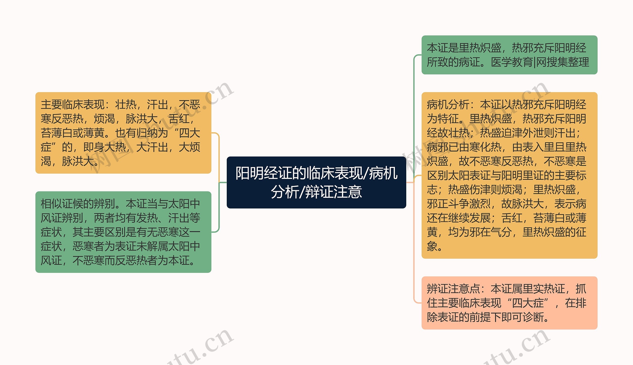 阳明经证的临床表现/病机分析/辩证注意思维导图