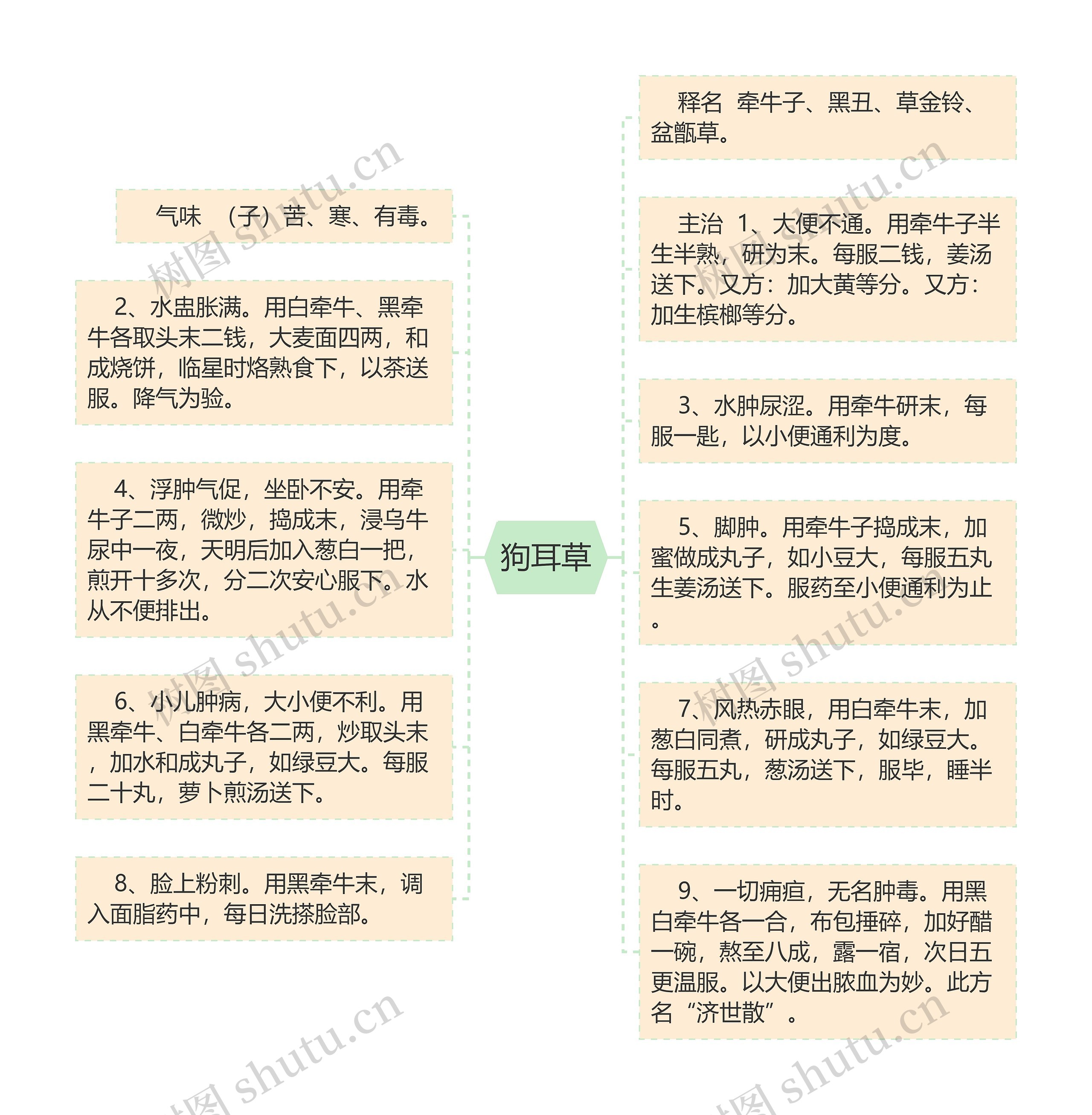 狗耳草思维导图