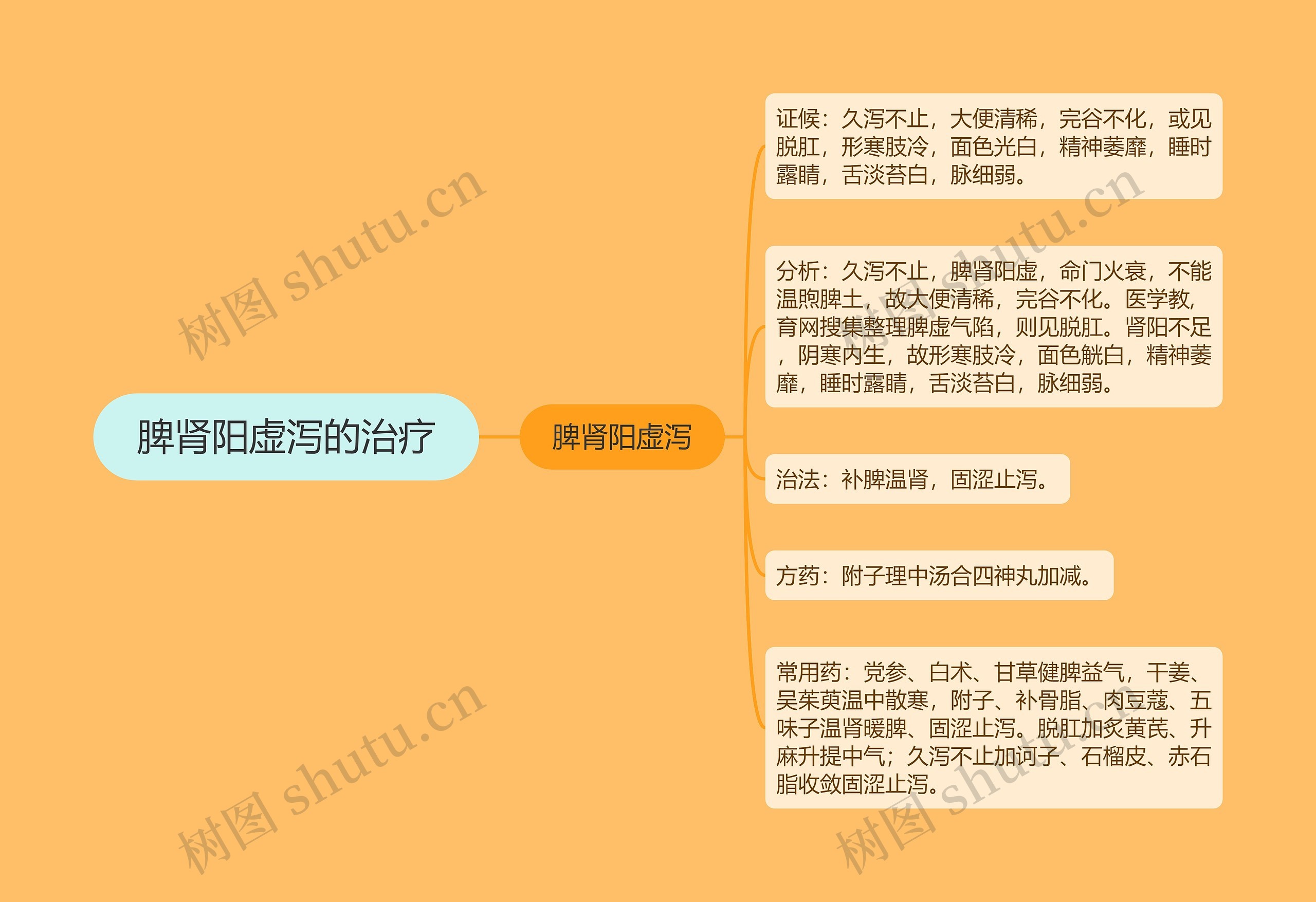 脾肾阳虚泻的治疗 脾肾阳虚泻的治疗