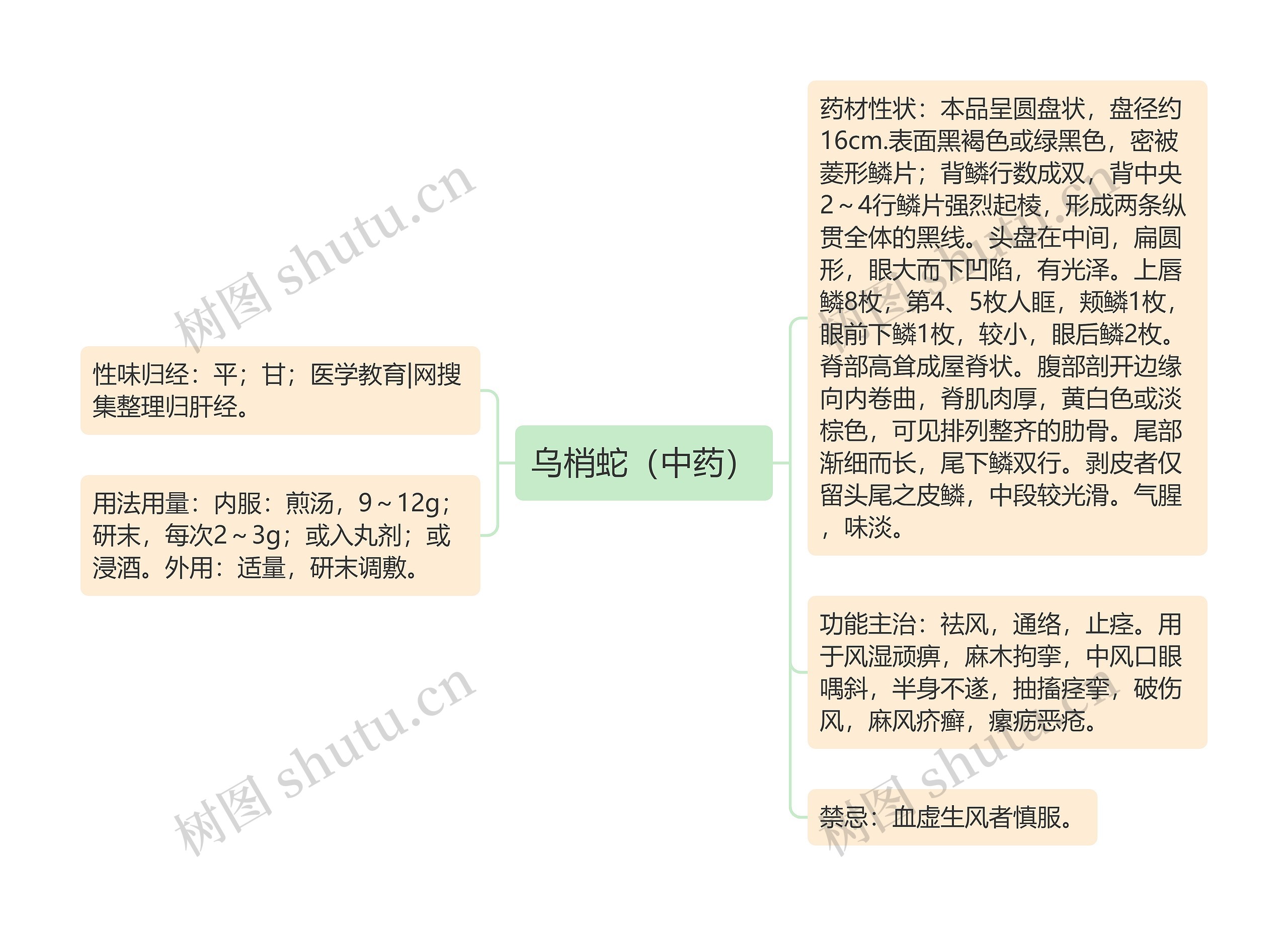 乌梢蛇（中药）思维导图