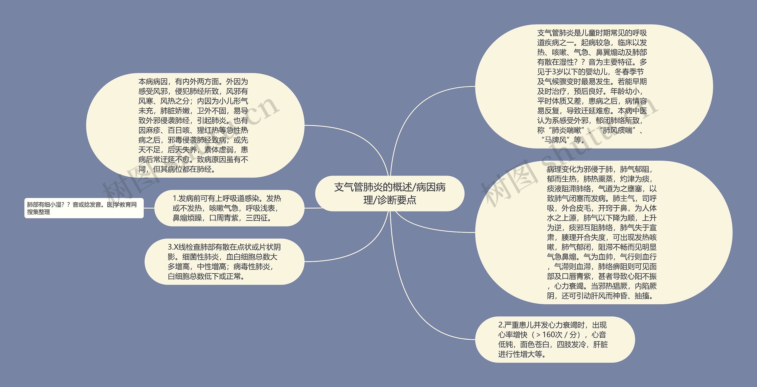 支气管肺炎的概述/病因病理/诊断要点