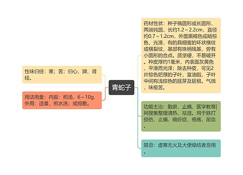 青蛇子