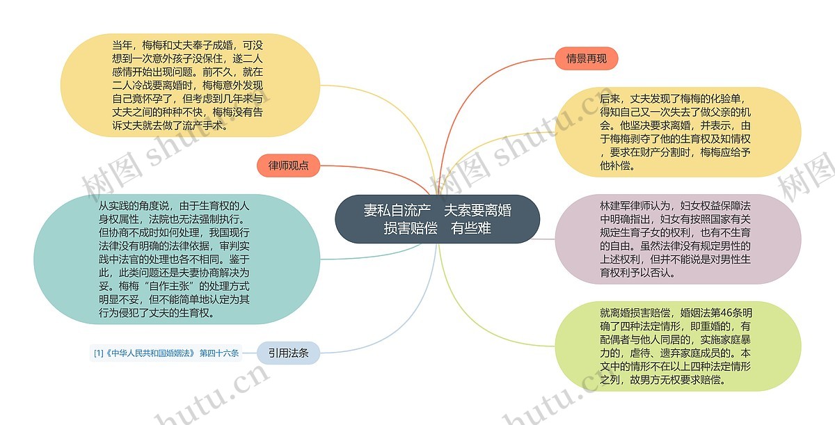 妻私自流产 夫索要离婚损害赔偿 有些难思维导图_编号p7107865-TreeMind树图