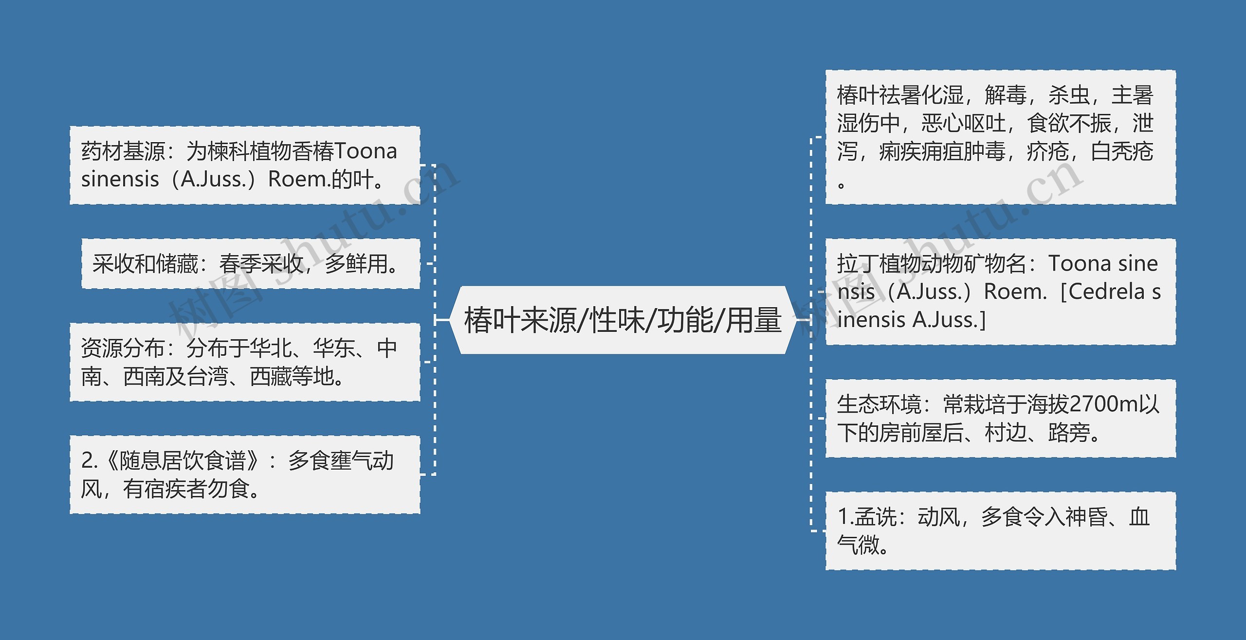 椿叶来源/性味/功能/用量 椿叶来源/性味/功能/用量