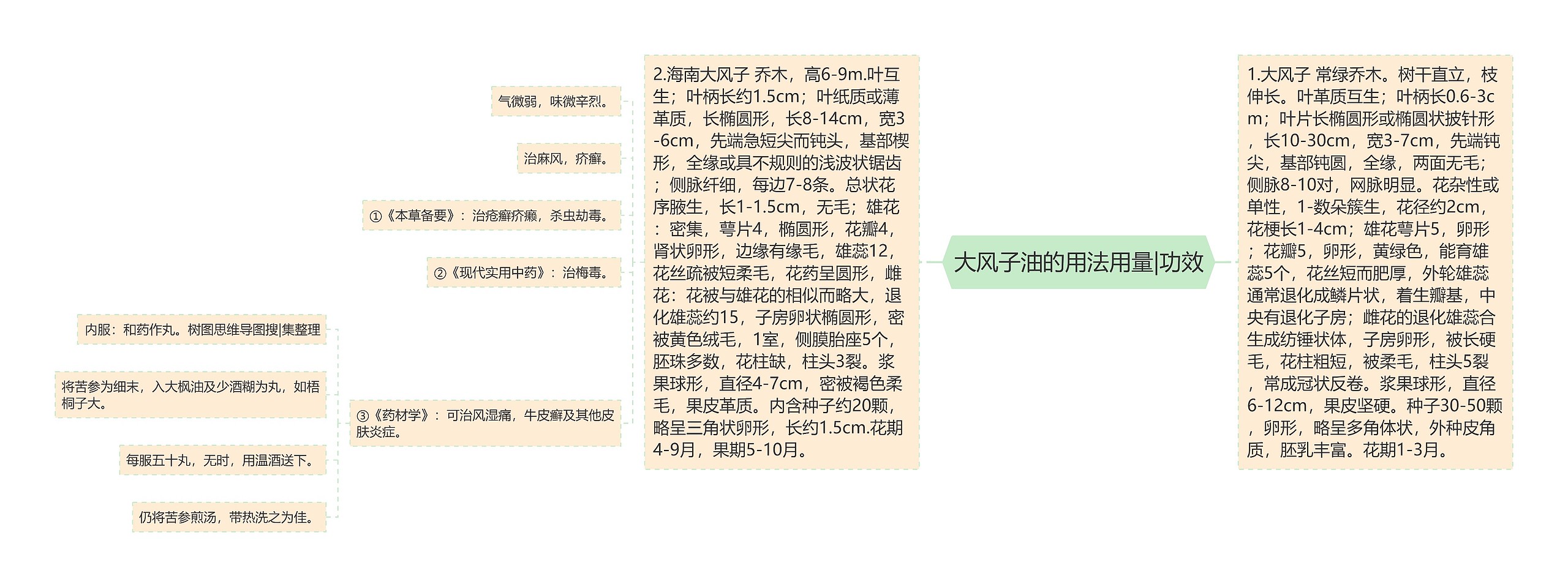 大风子油的用法用量|功效 大风子油的用法用量|功效