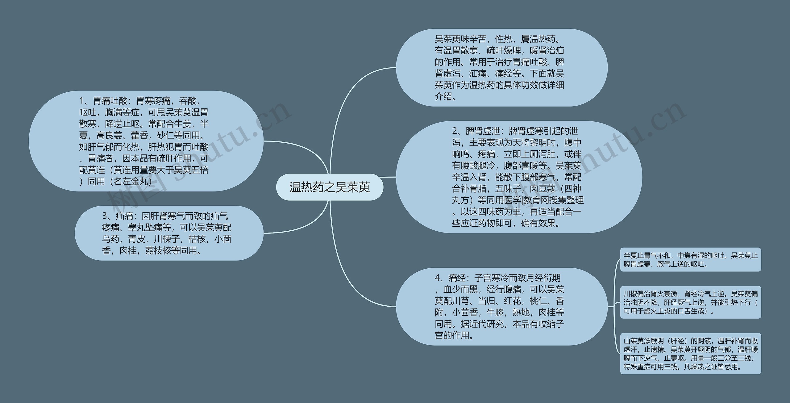 温热药之吴茱萸