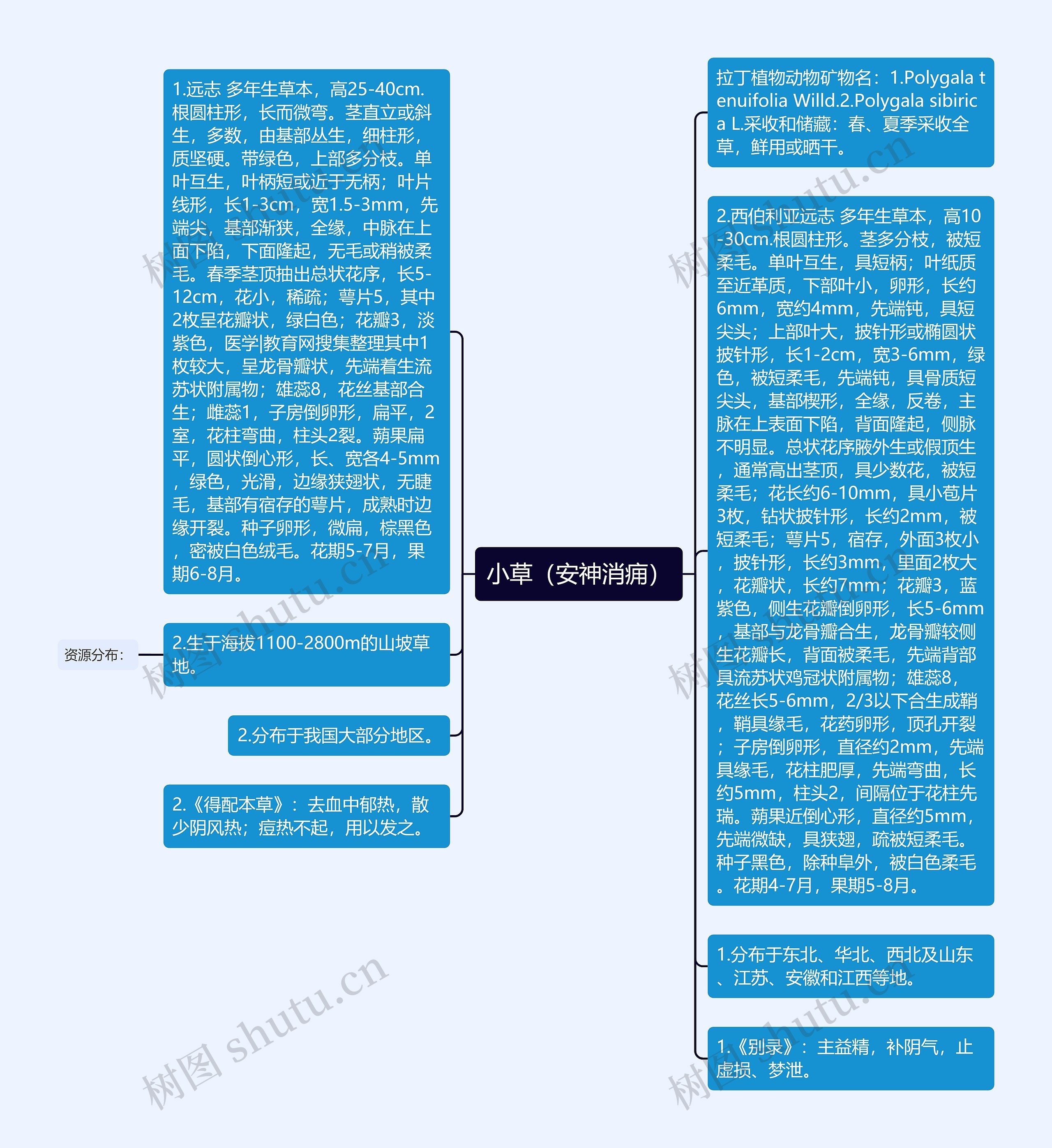 小草（安神消痈）思维导图