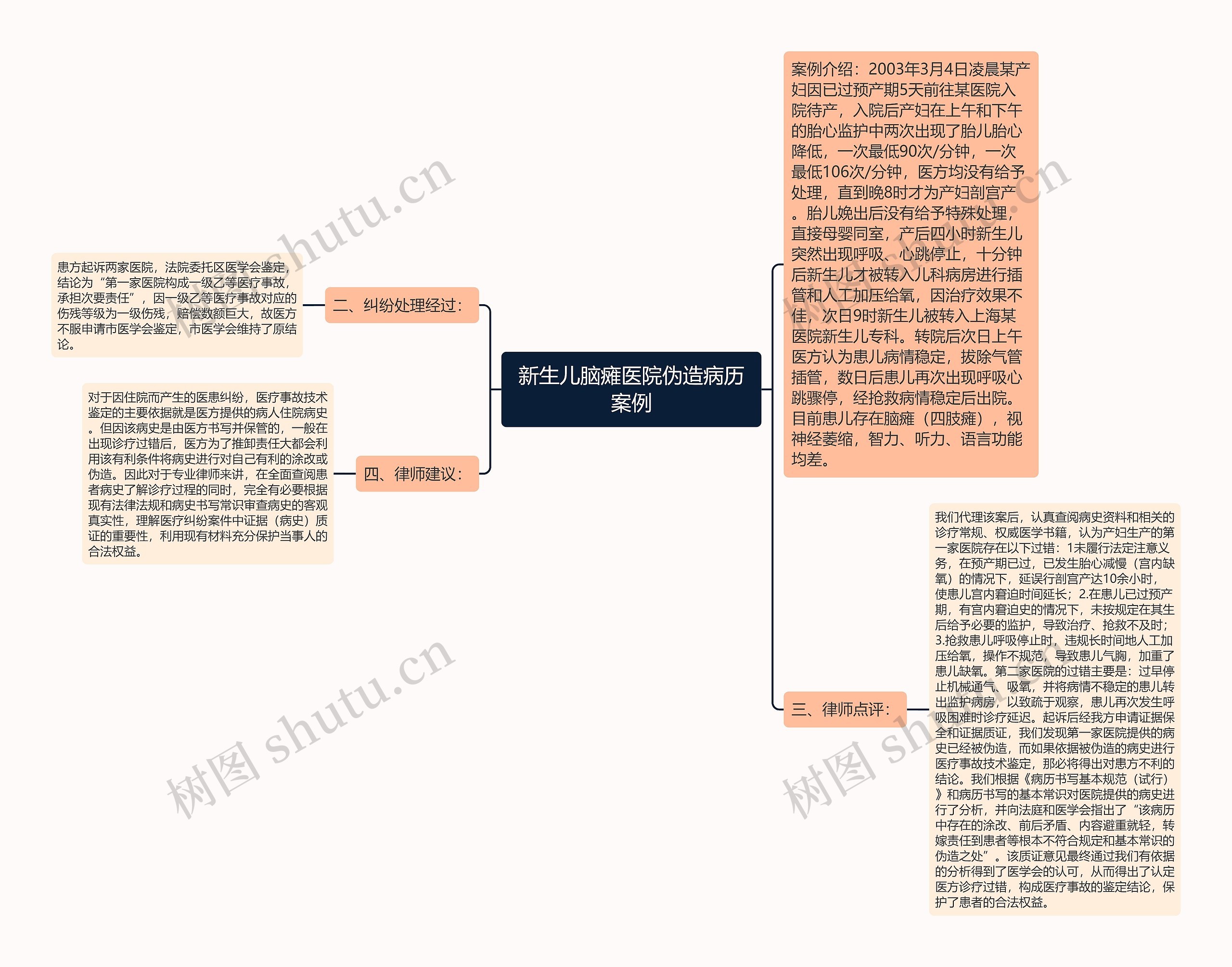 新生儿脑瘫医院伪造病历案例