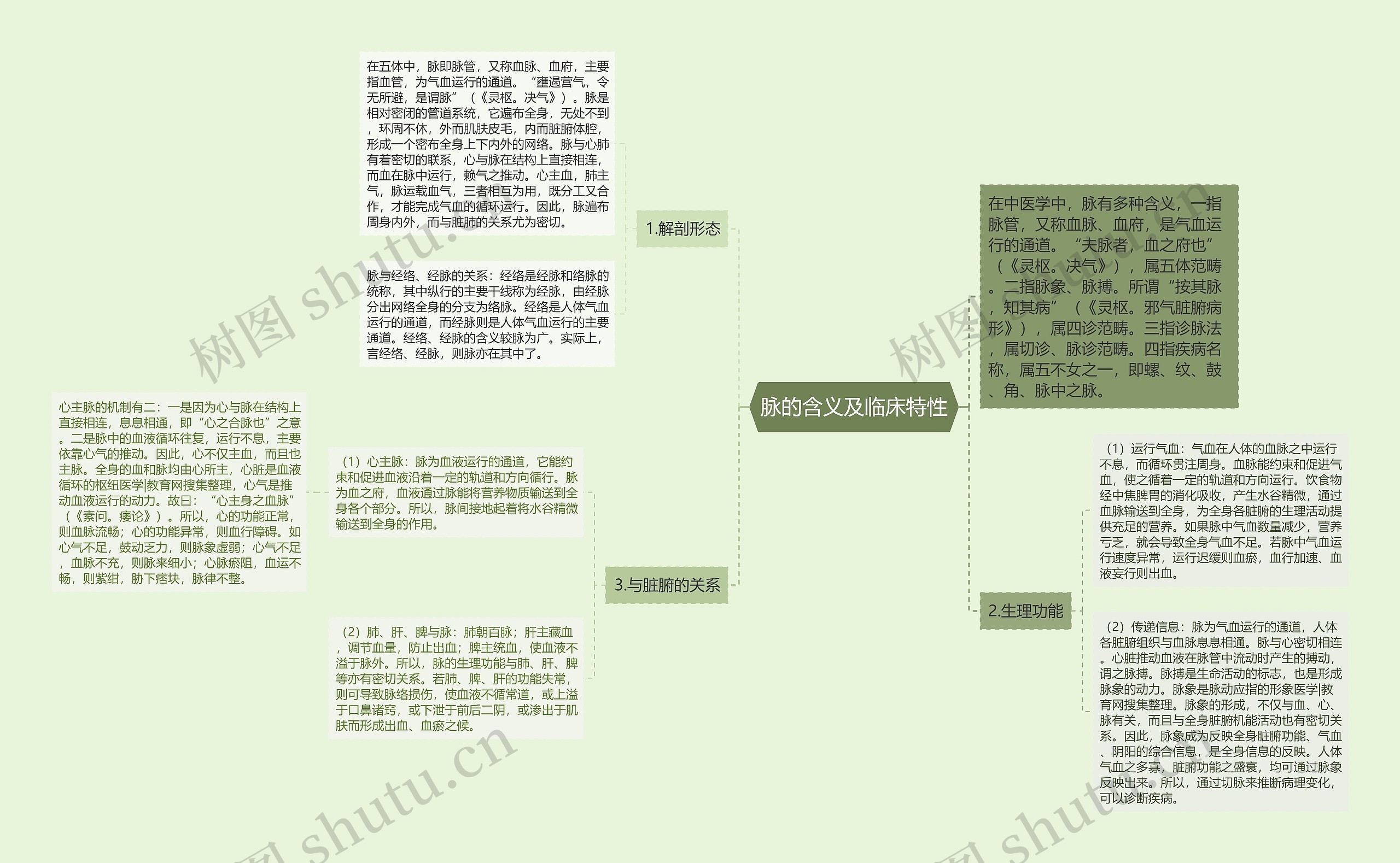 脉的含义及临床特性思维导图
