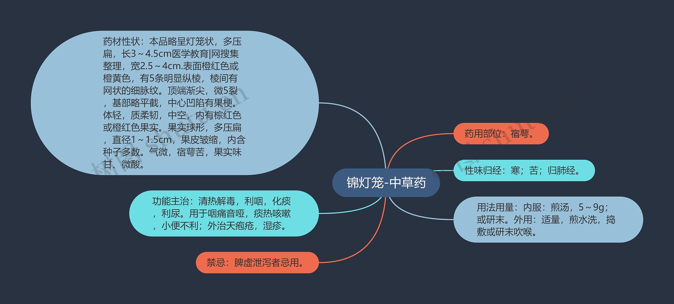 锦灯笼-中草药思维导图