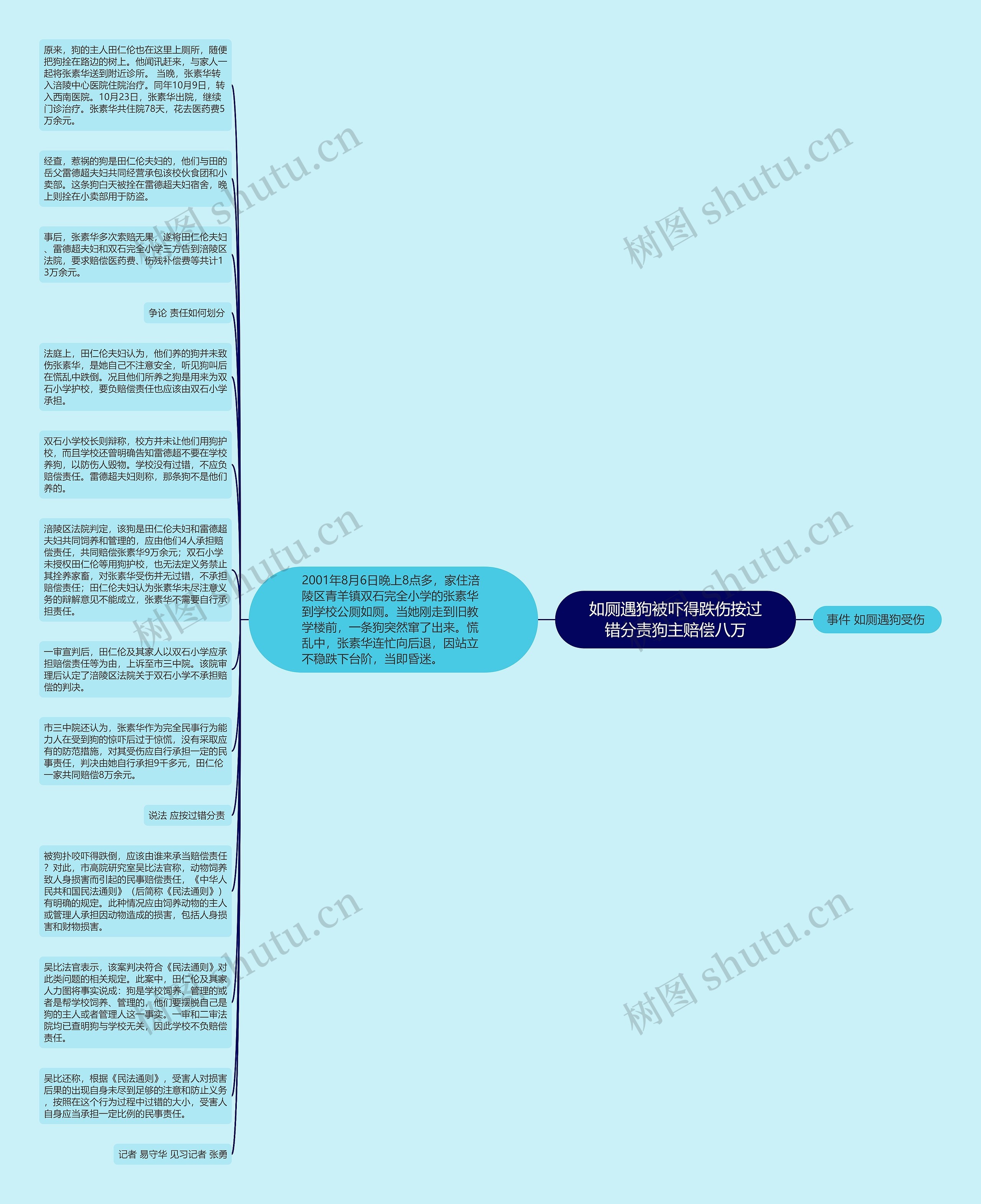 如厕遇狗被吓得跌伤按过错分责狗主赔偿八万思维导图