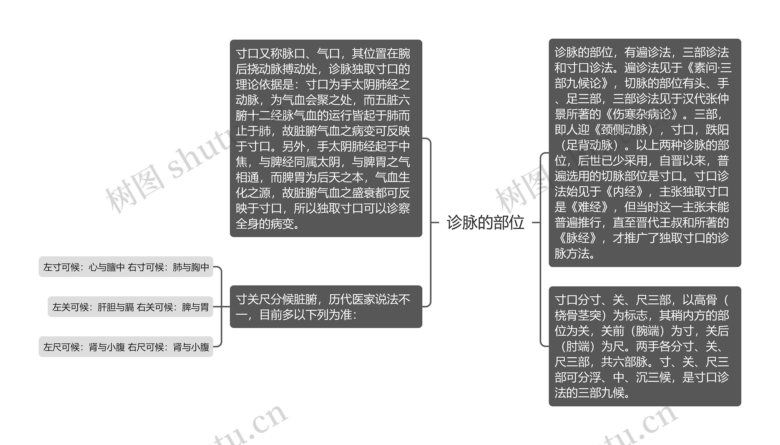 诊脉的部位思维导图