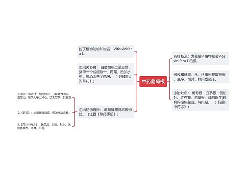 中药葡萄根