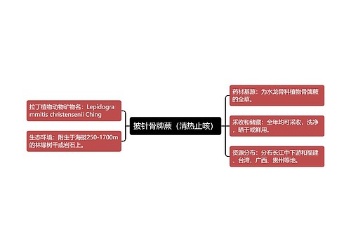 披针骨牌蕨（清热止咳）