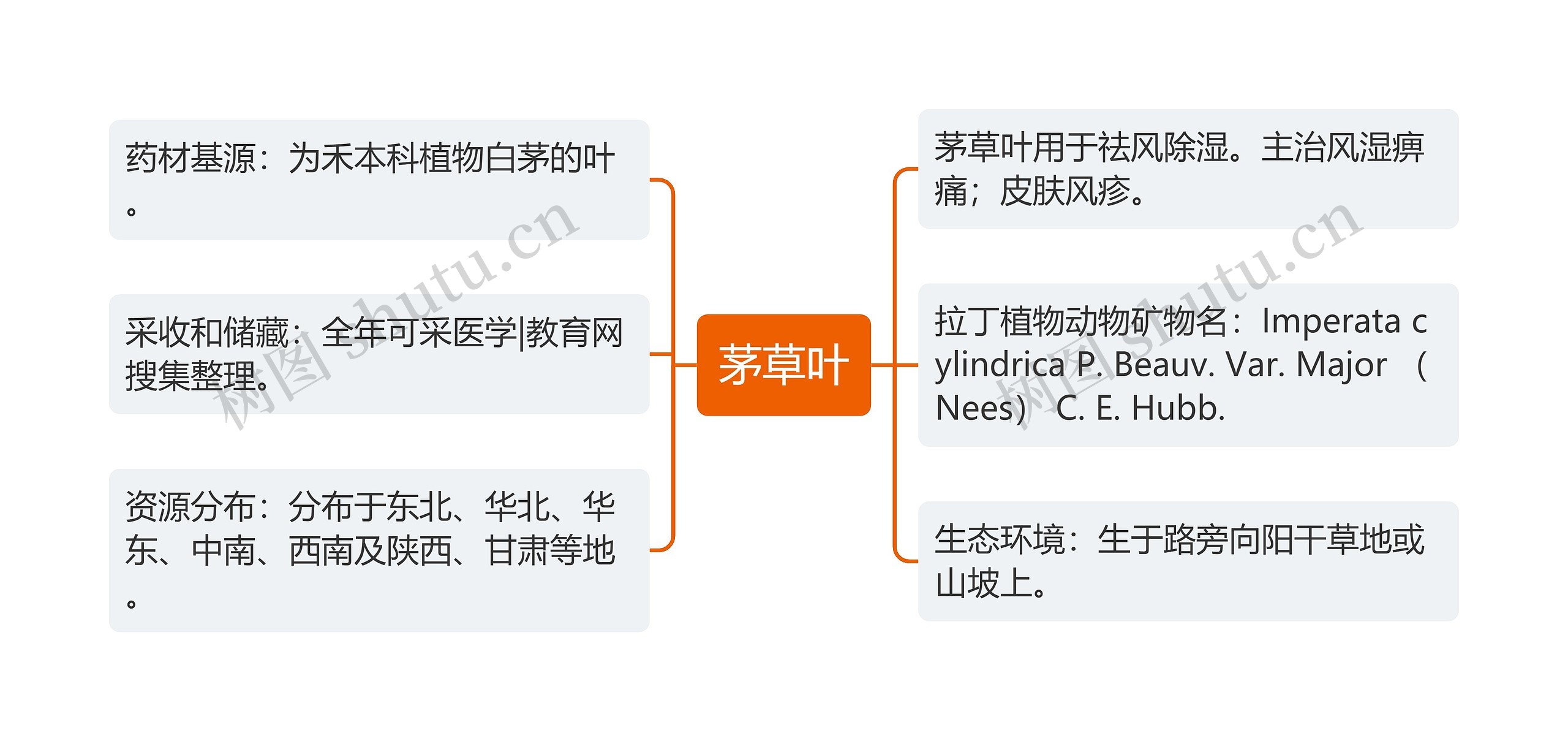 茅草叶思维导图