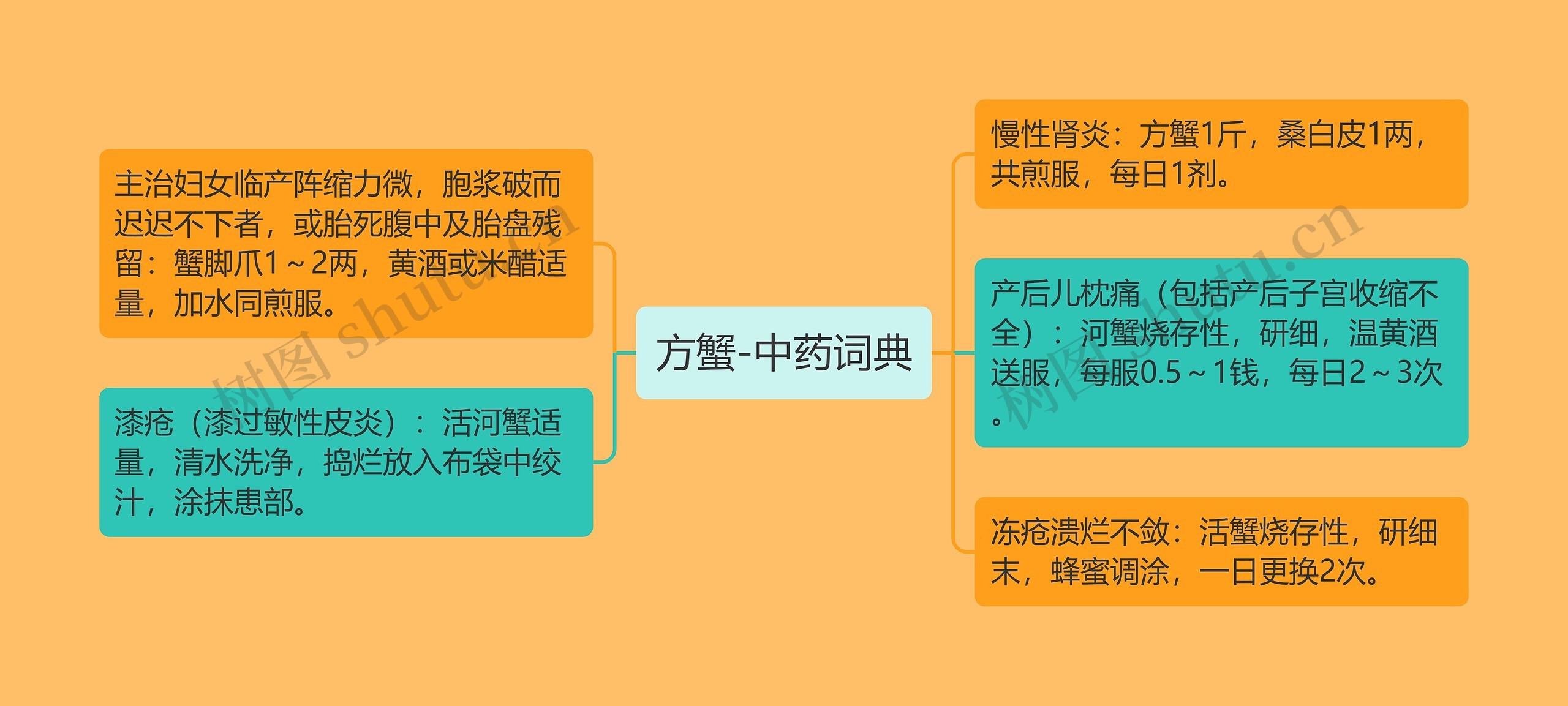 方蟹-中药词典 方蟹-中药词典