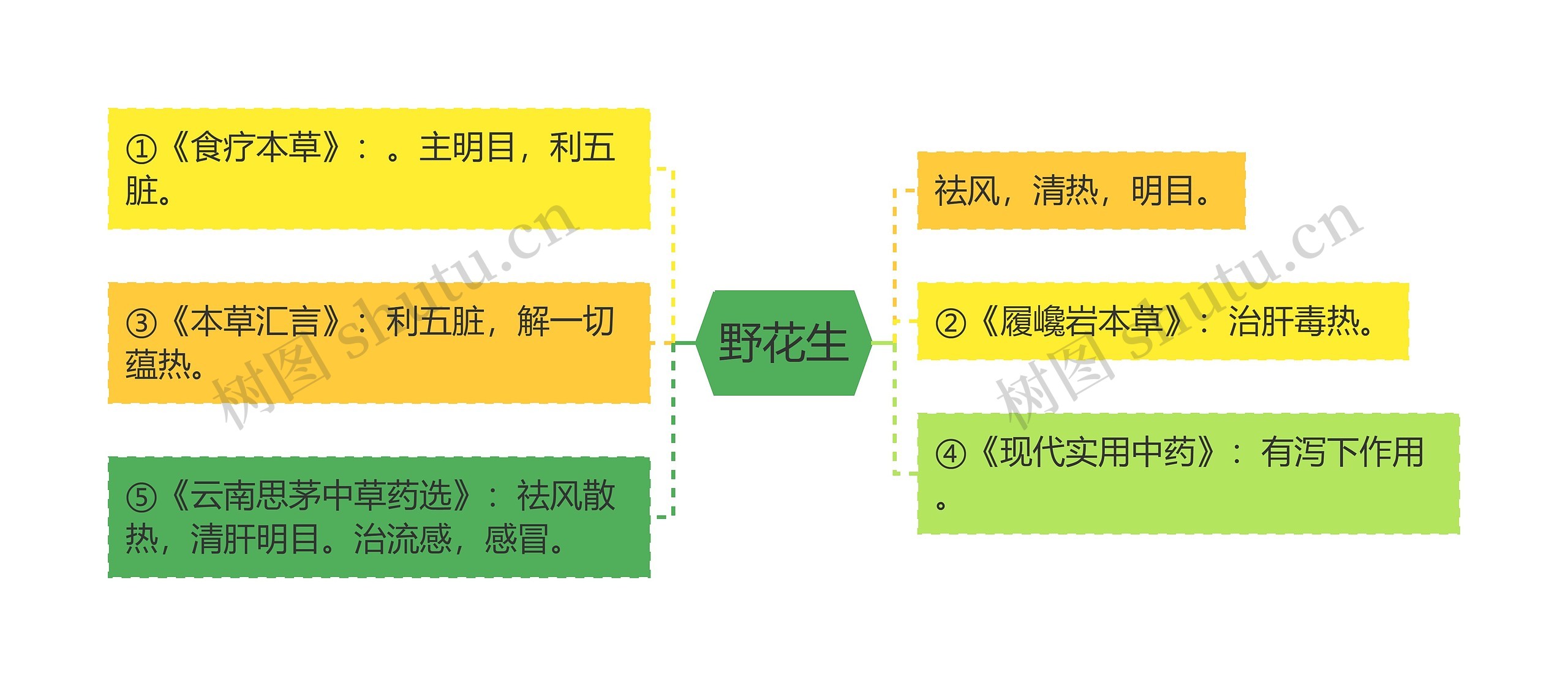 野花生思维导图