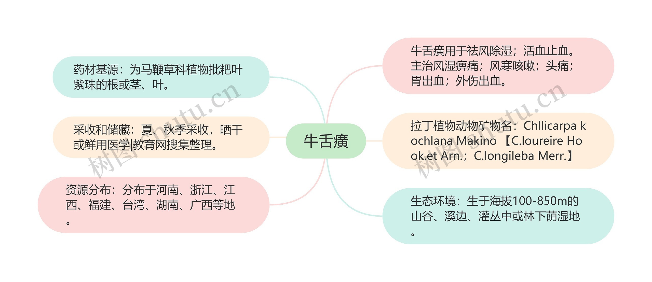 牛舌癀