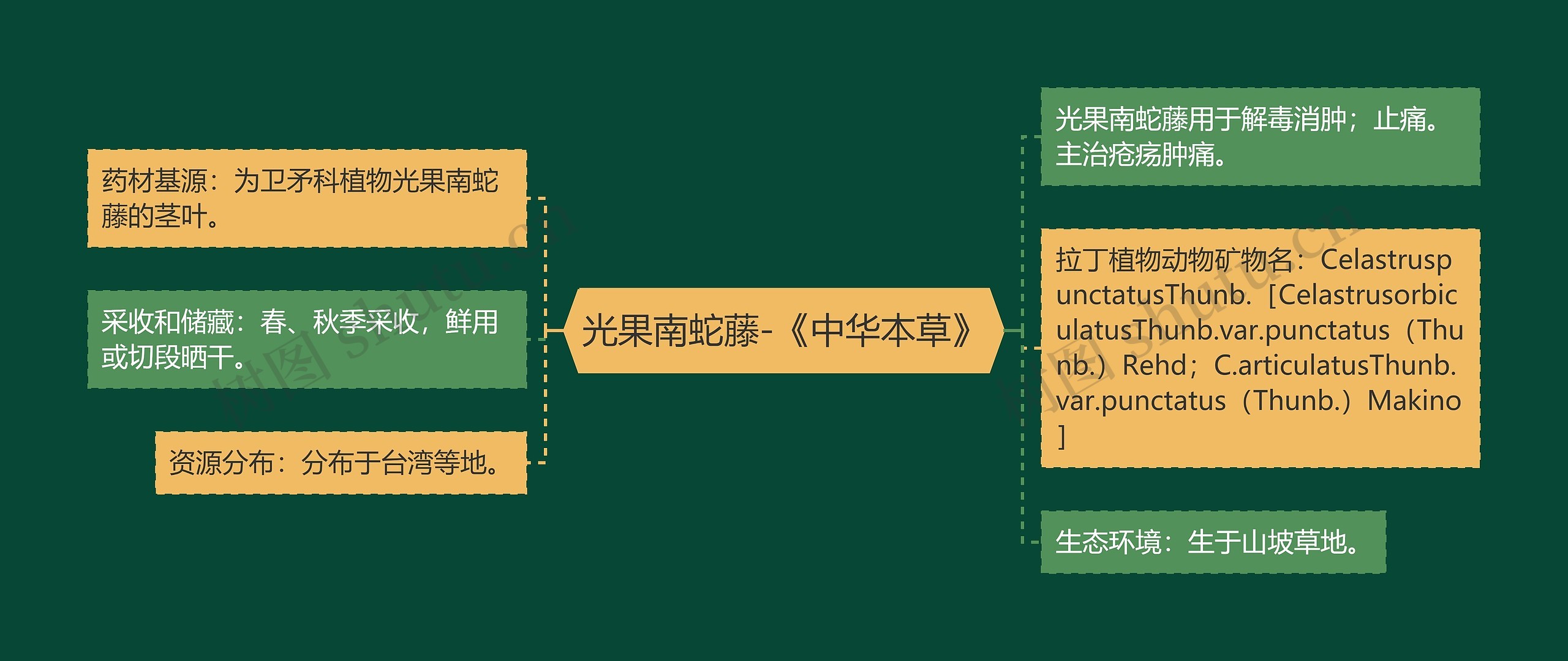 光果南蛇藤-《中华本草》思维导图