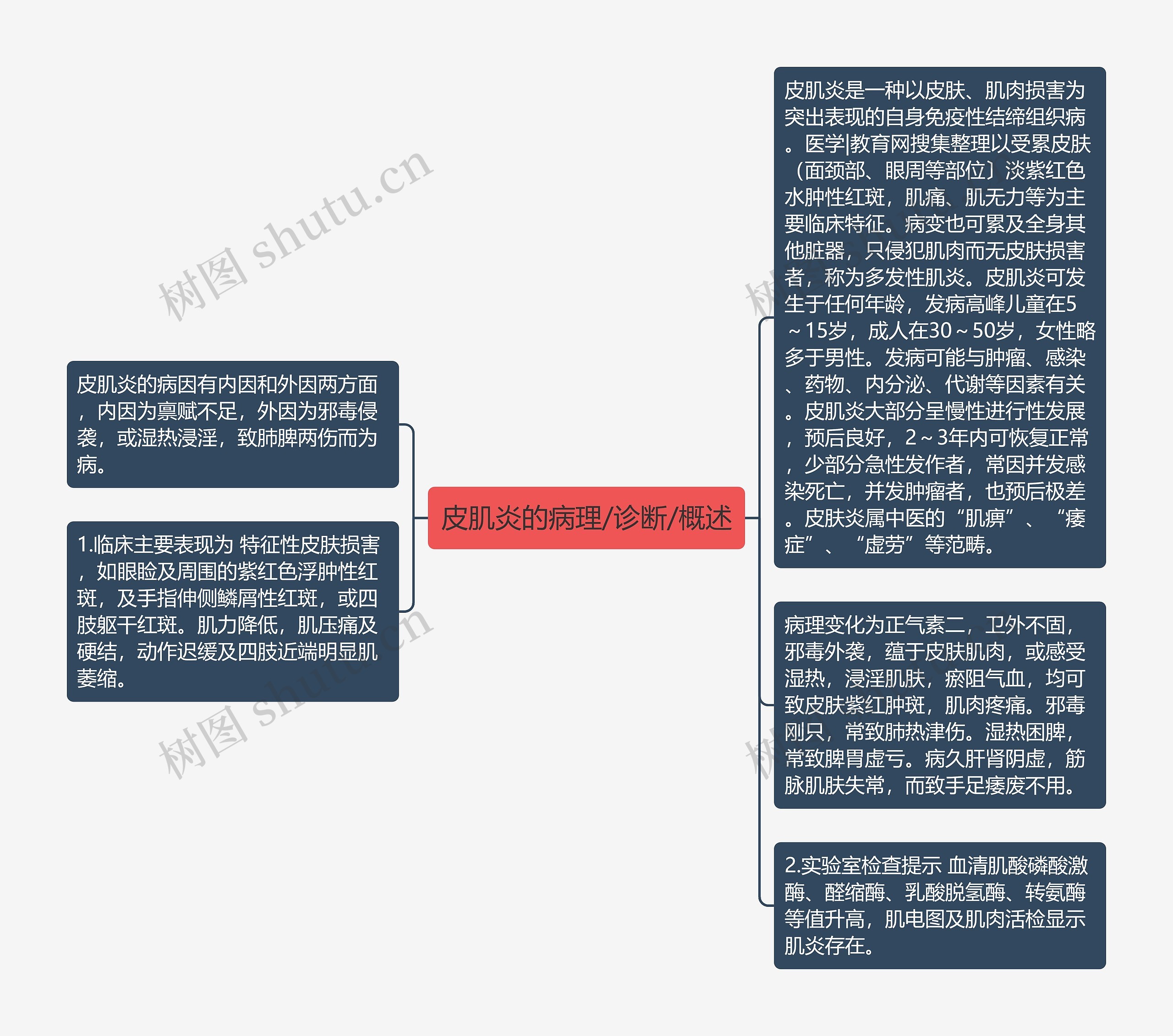 皮肌炎的病理/诊断/概述思维导图