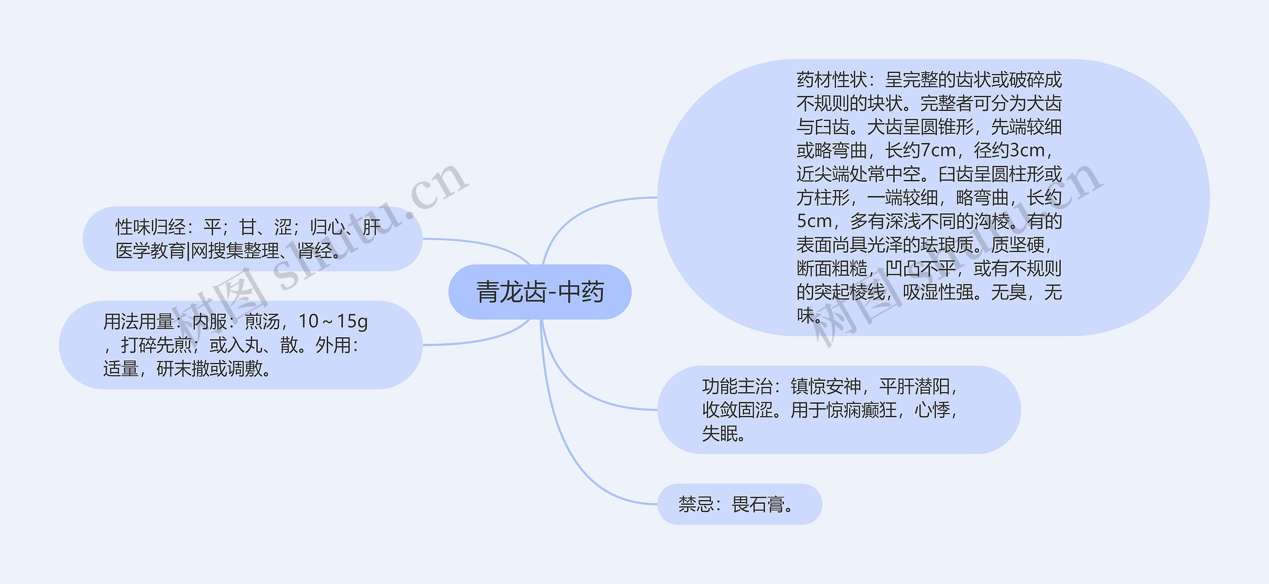 青龙齿-中药 青龙齿-中药