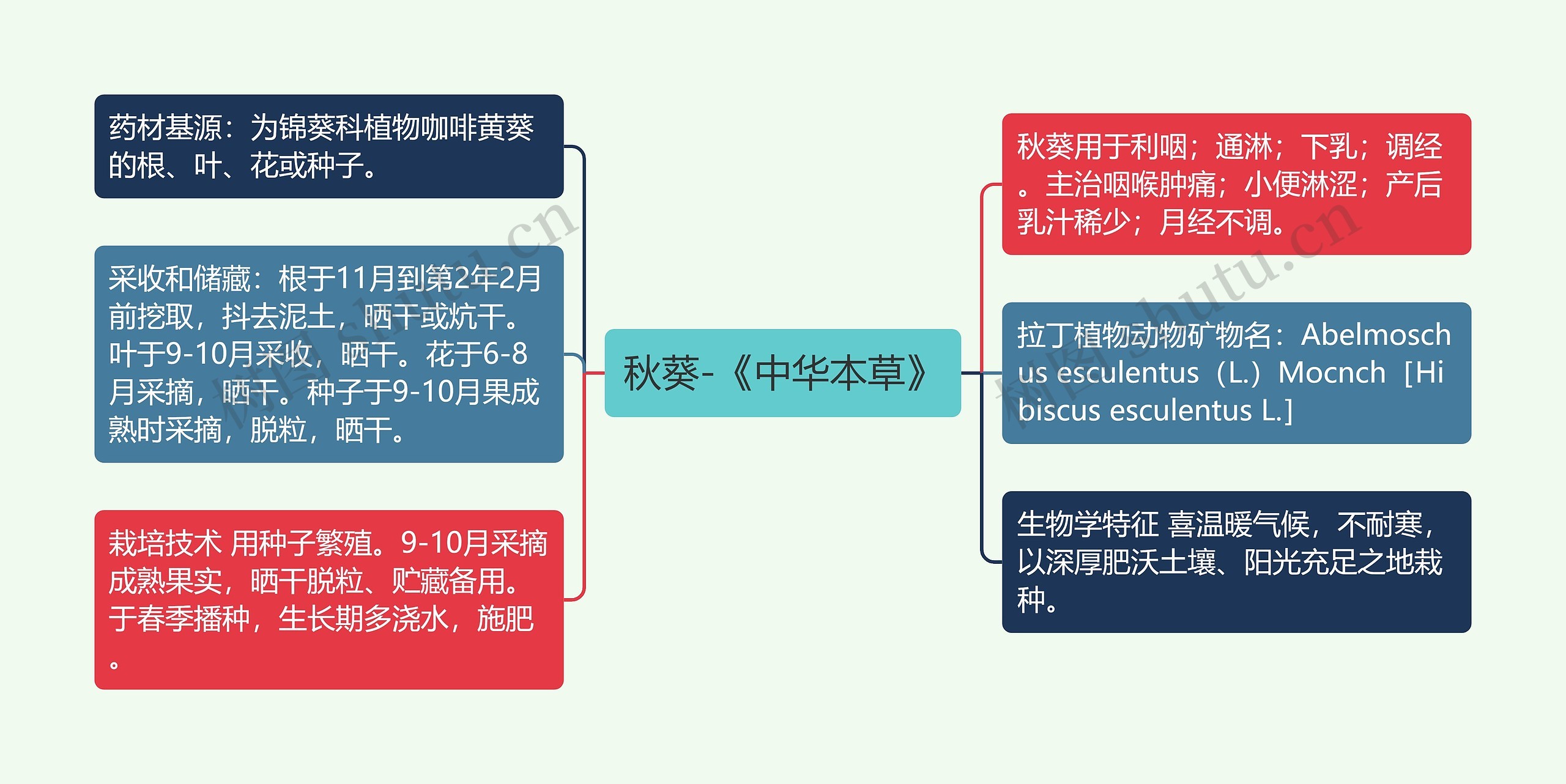 秋葵-《中华本草》思维导图