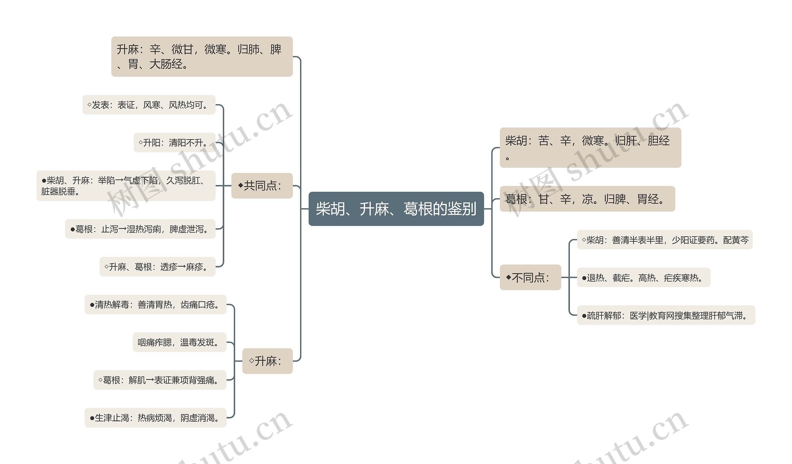 柴胡、升麻、葛根的鉴别思维导图