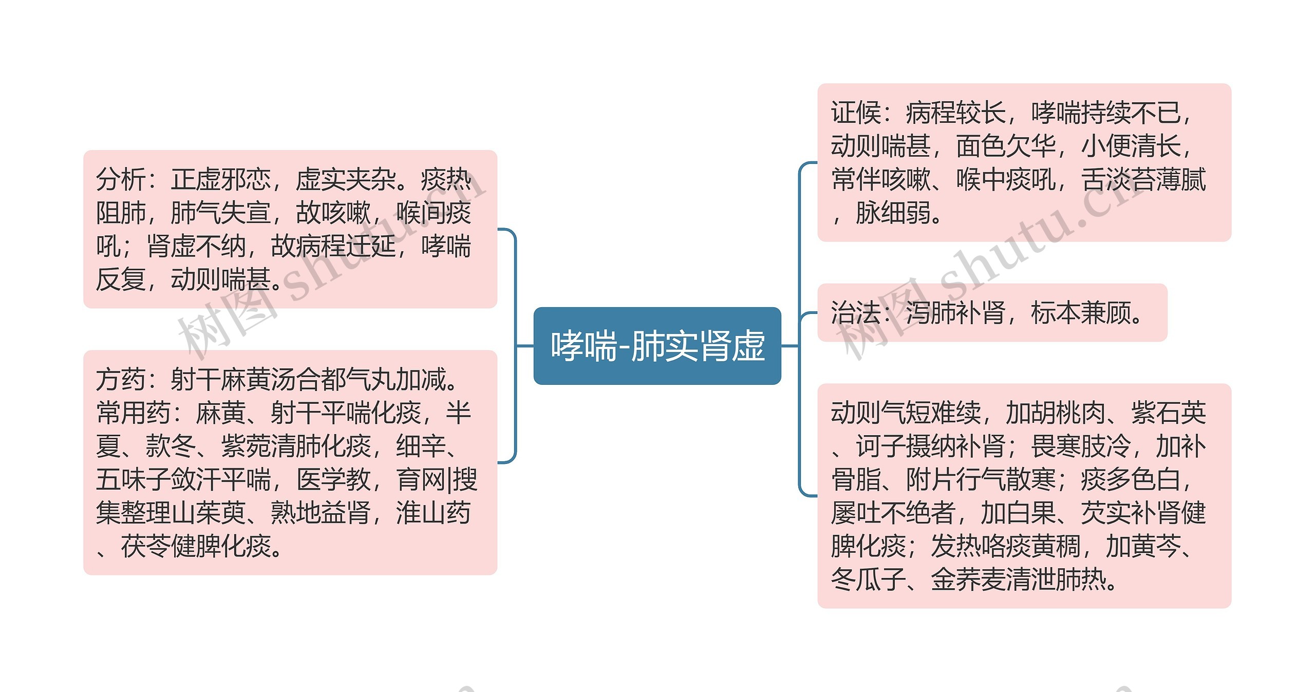 哮喘-肺实肾虚思维导图