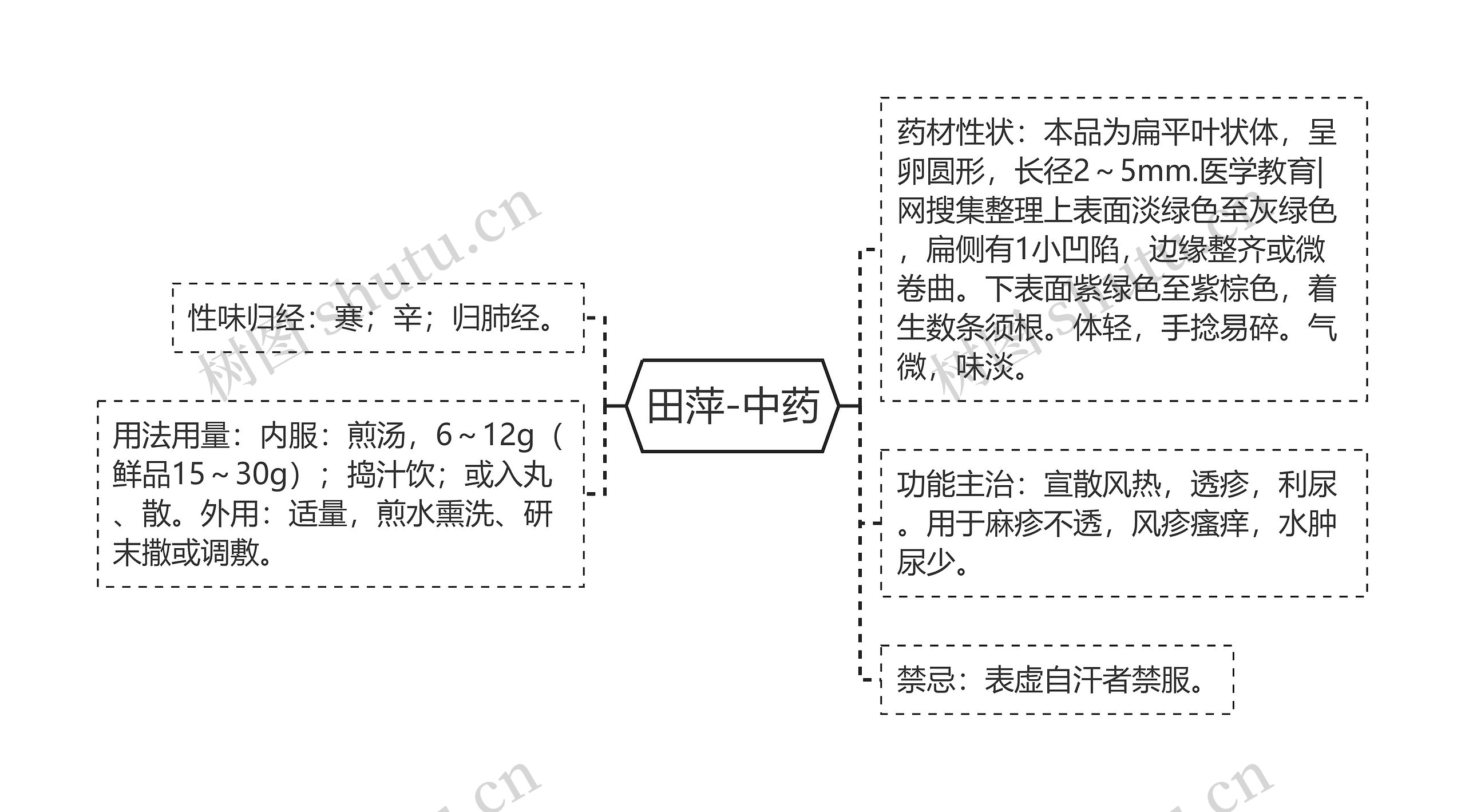 田萍-中药思维导图