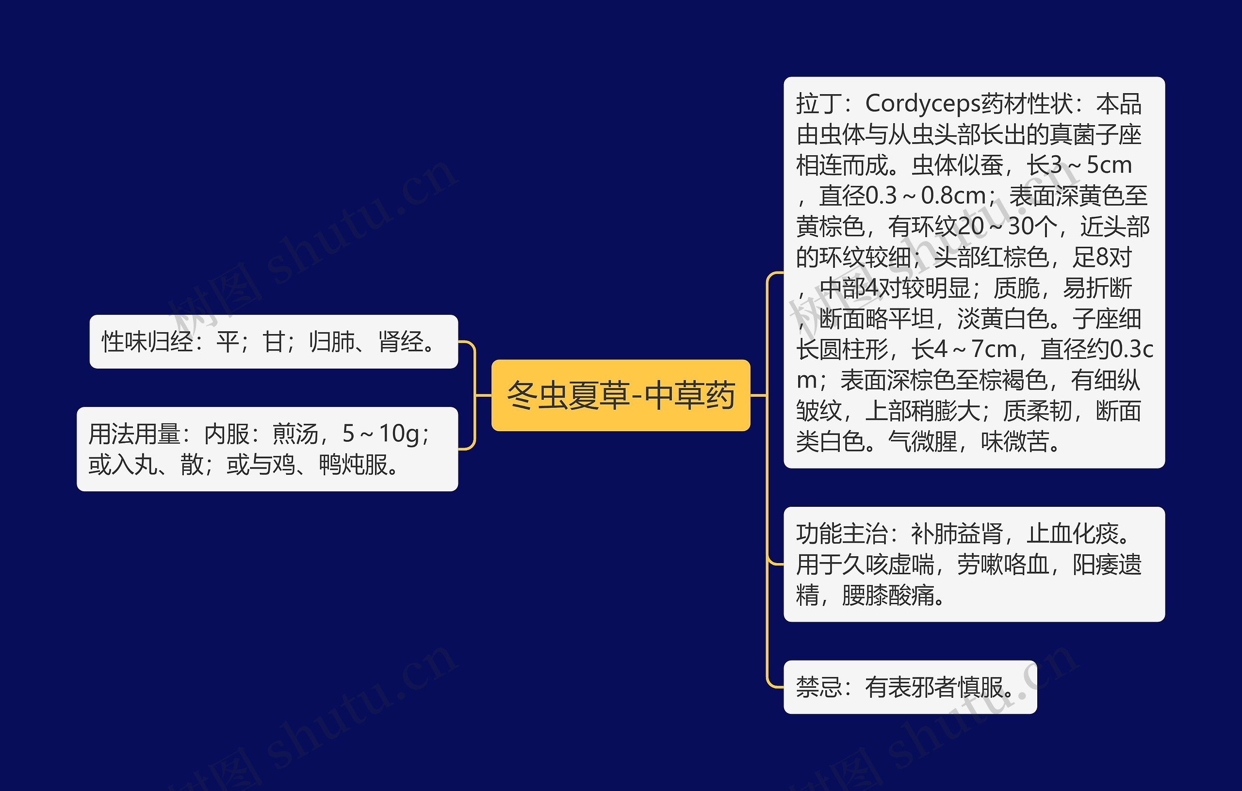 冬虫夏草-中草药 冬虫夏草-中草药