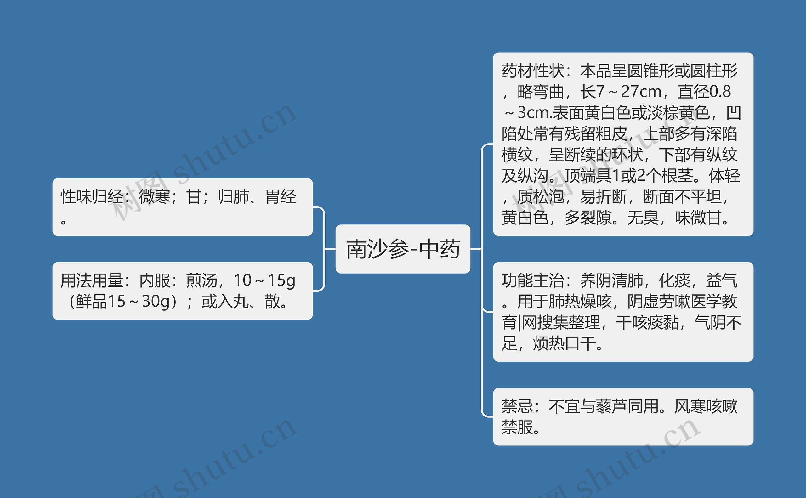 南沙参-中药思维导图