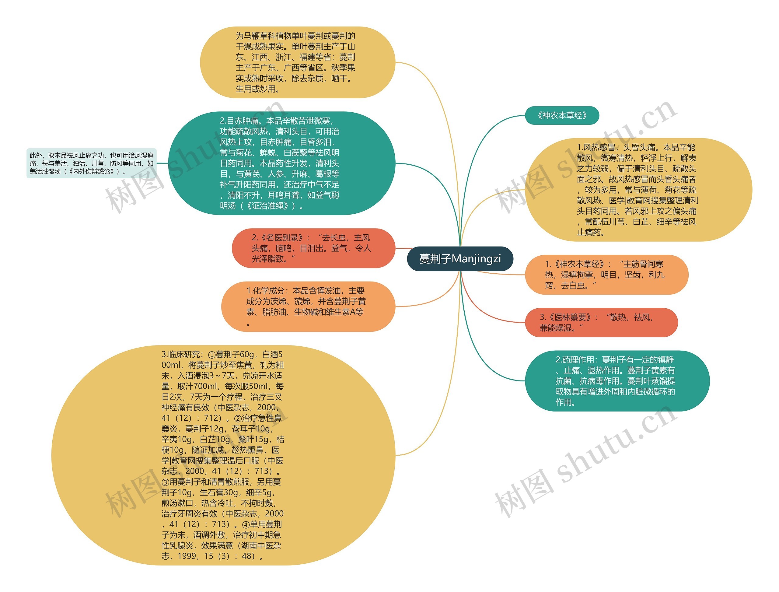 蔓荆子Manjingzi思维导图