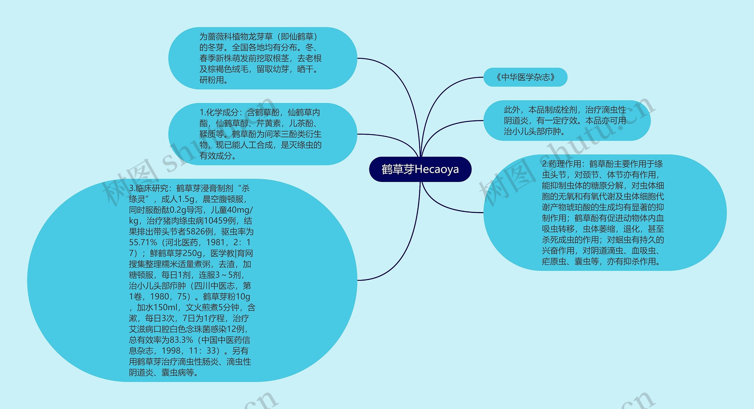 鹤草芽Hecaoya思维导图