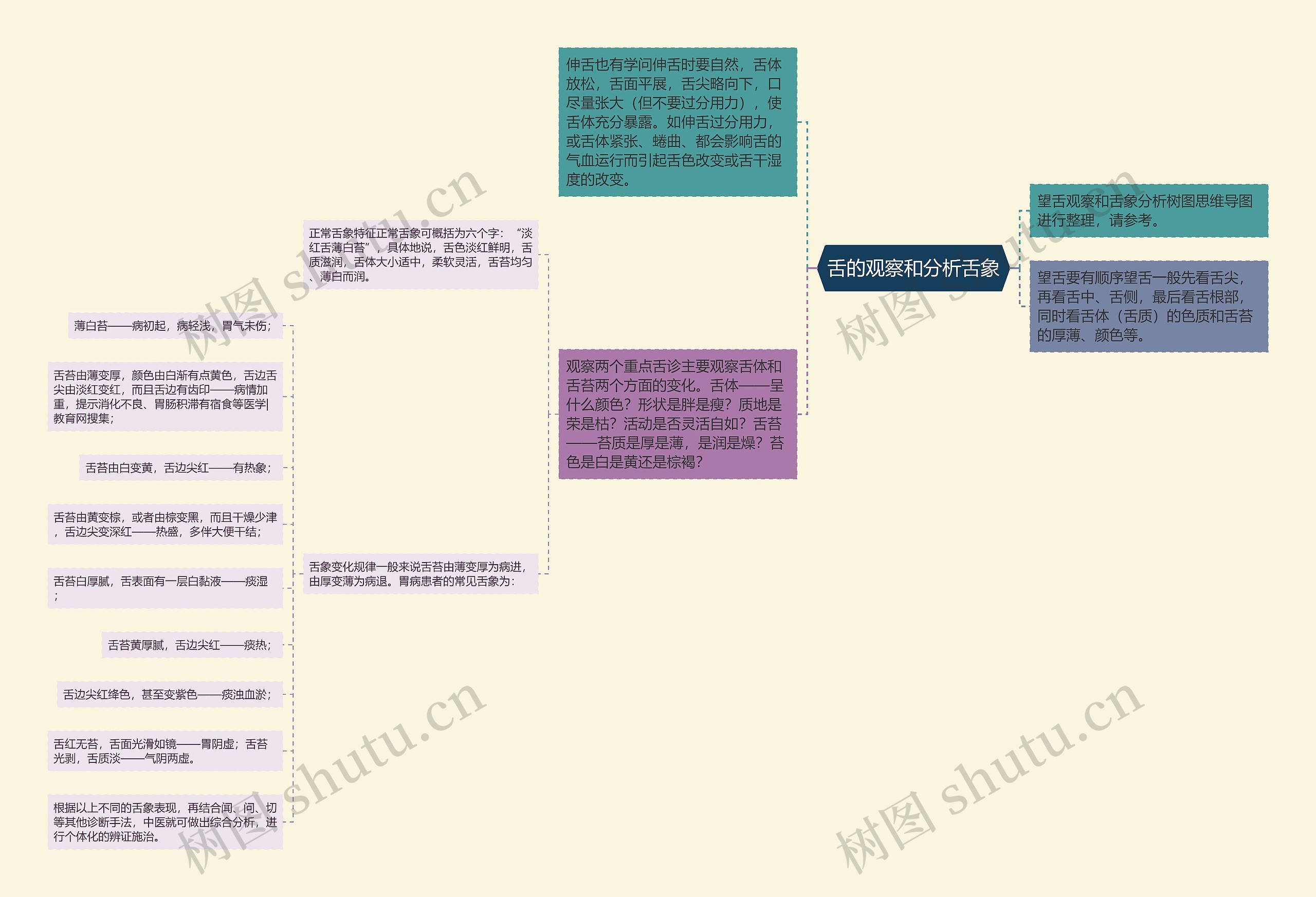 舌的观察和分析舌象思维导图