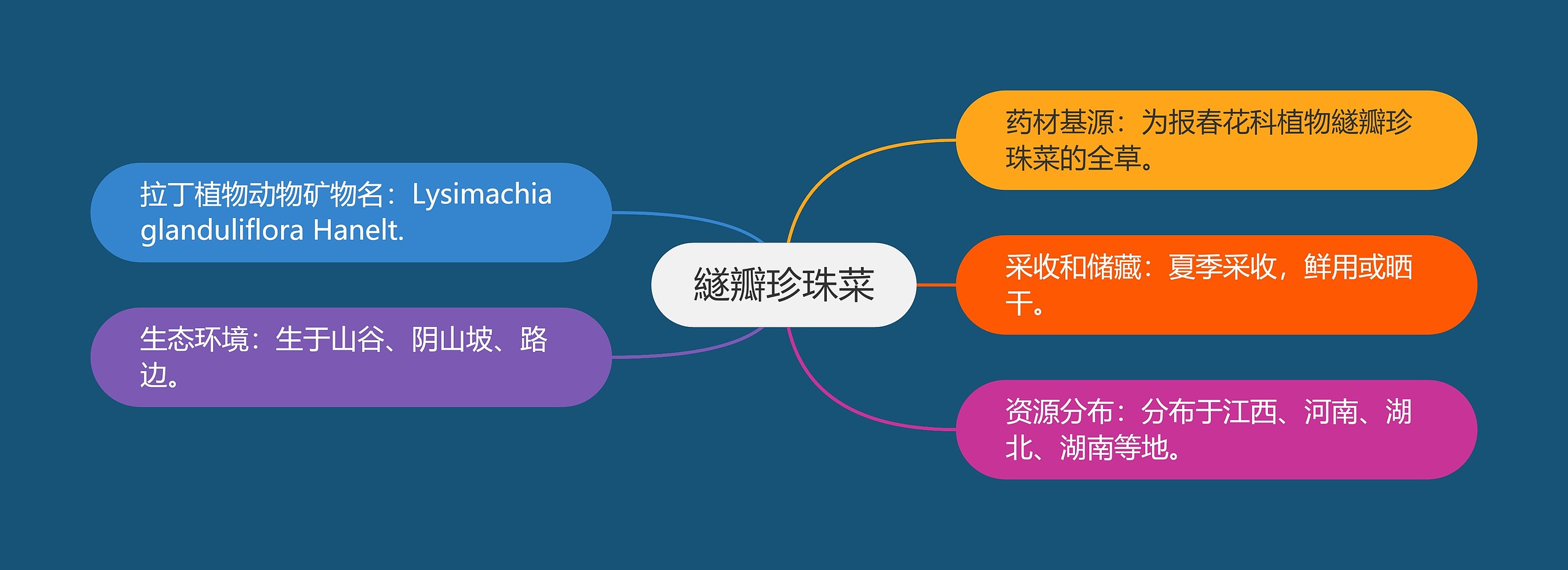 繸瓣珍珠菜思维导图