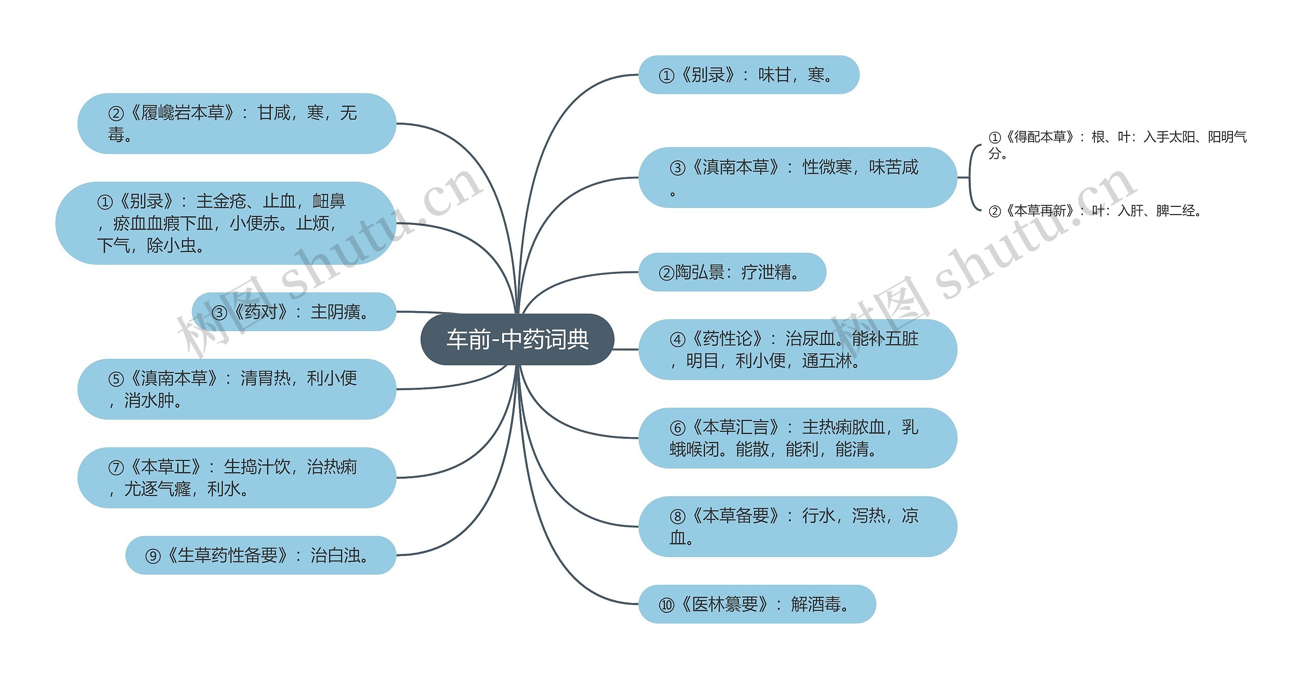 车前-中药词典思维导图