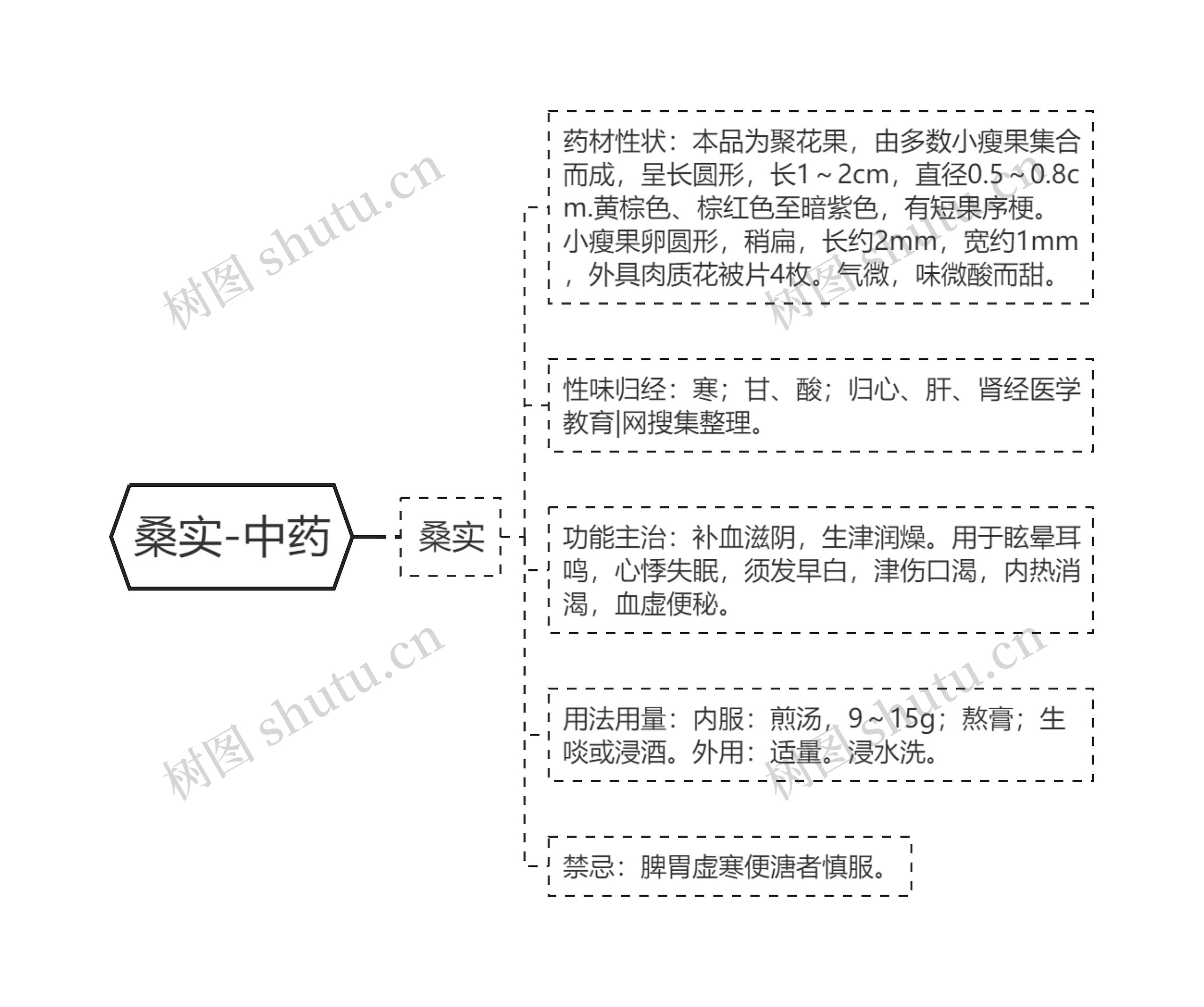 桑实-中药 桑实-中药