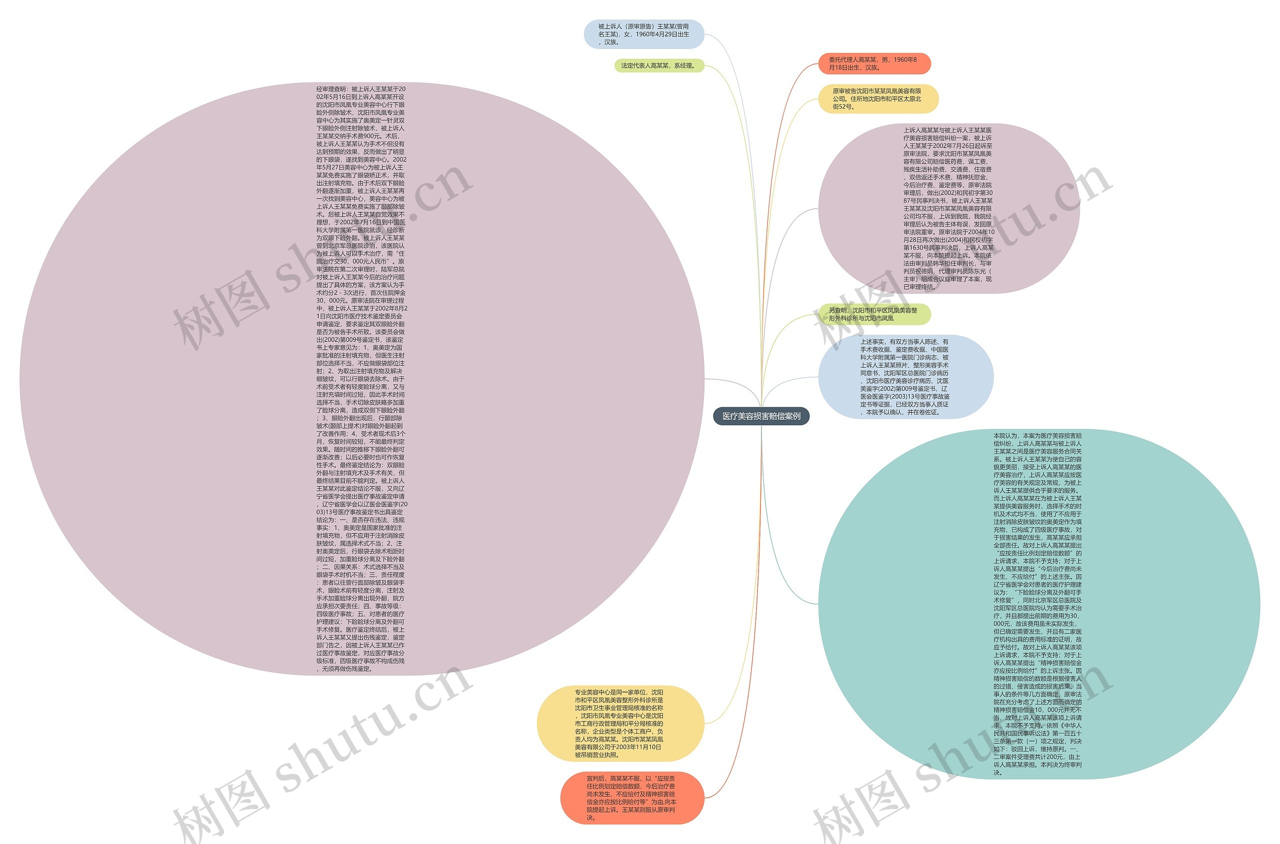 医疗美容损害赔偿案例思维导图