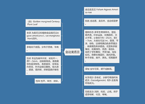 金边龙舌兰