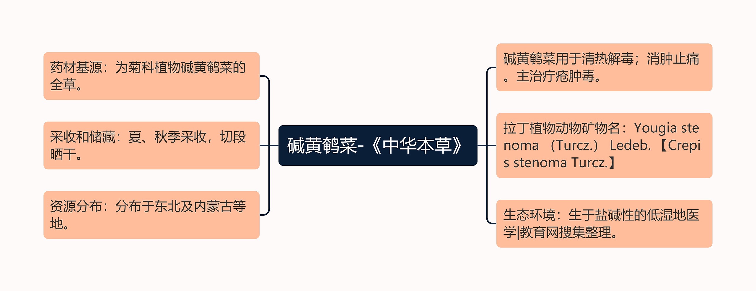 碱黄鹌菜-《中华本草》思维导图