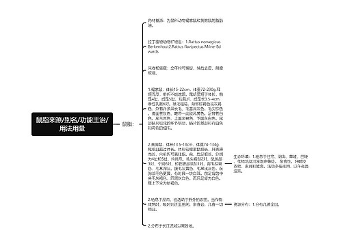 鼠脂来源/别名/功能主治/用法用量
